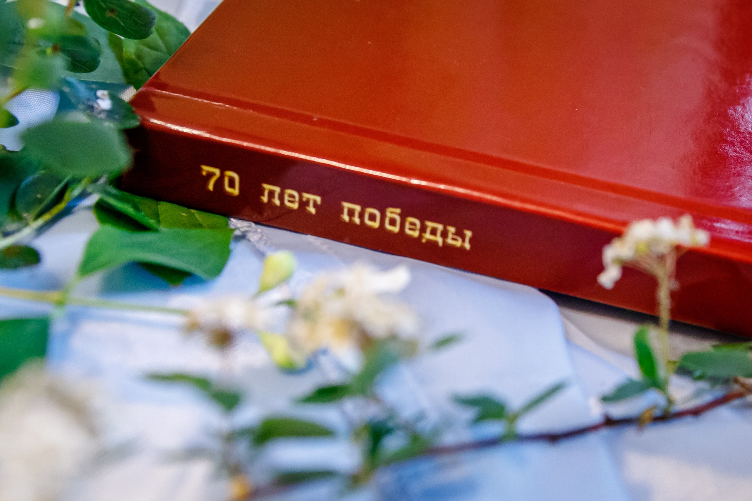 Фотокнига 70 лет победы. Марина Ушакова. Фотограф. Выпускные альбомы. г. Краснодар