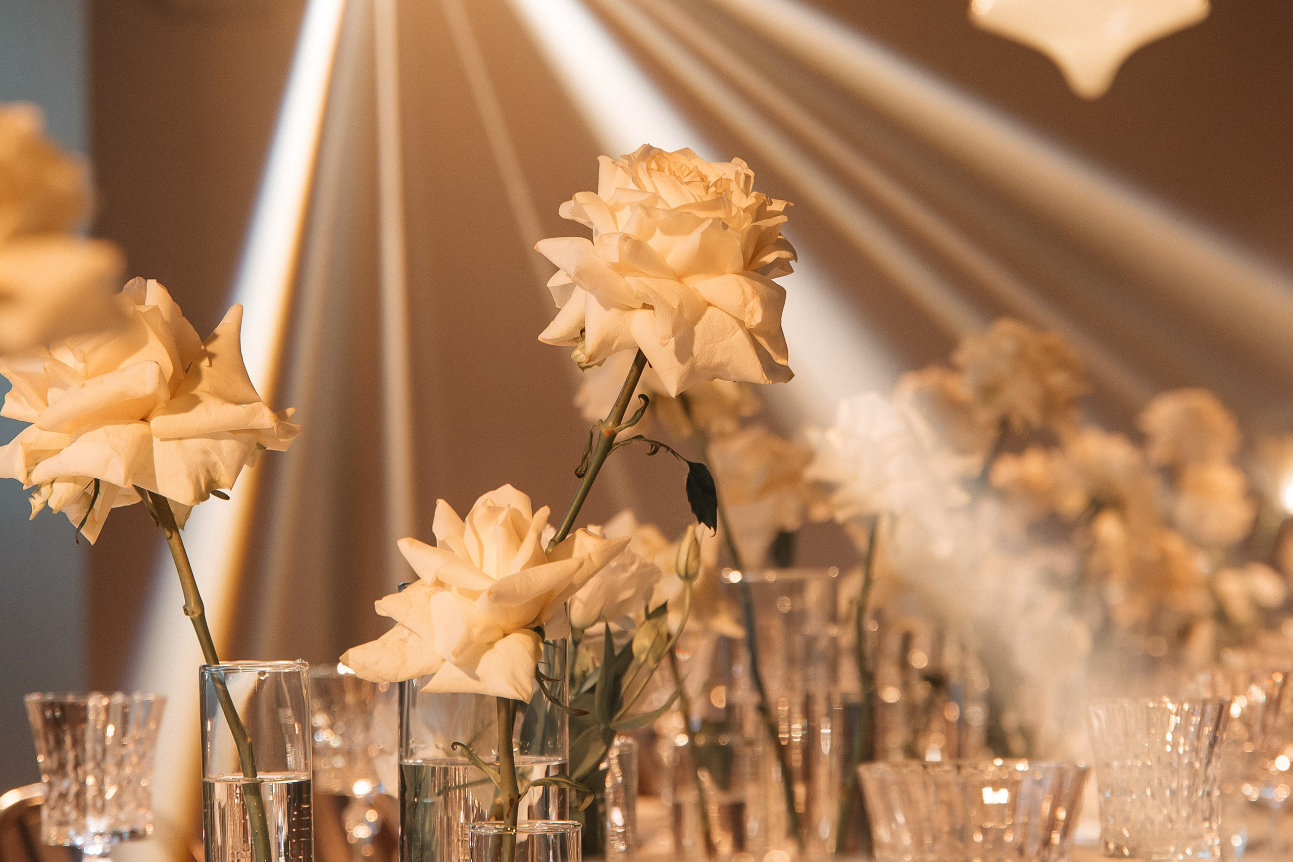 31.10.2024. Мария — Свадебный фотограф