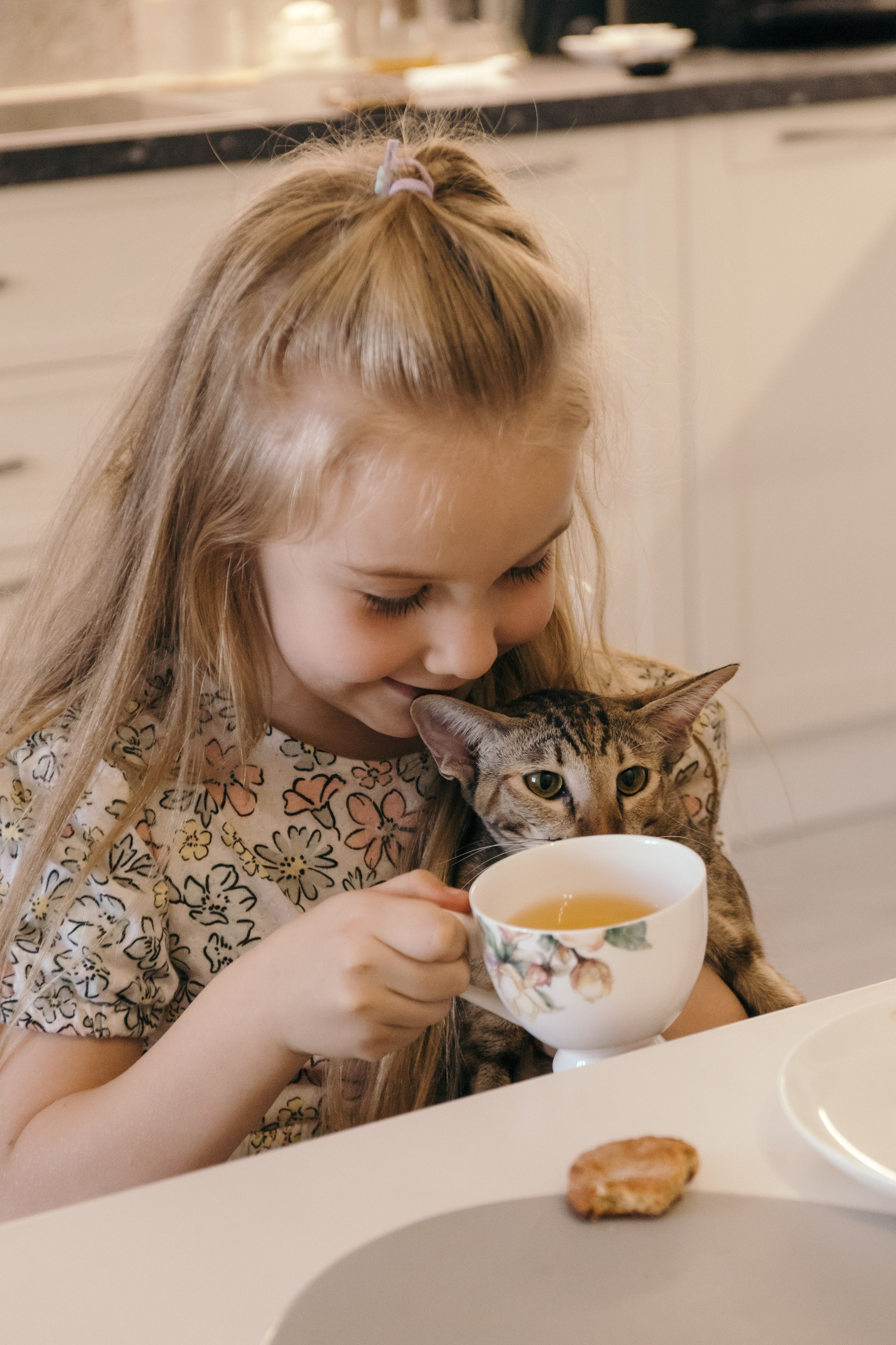 Семья и кошки. Фотограф Елена Балакина (Челябинск)