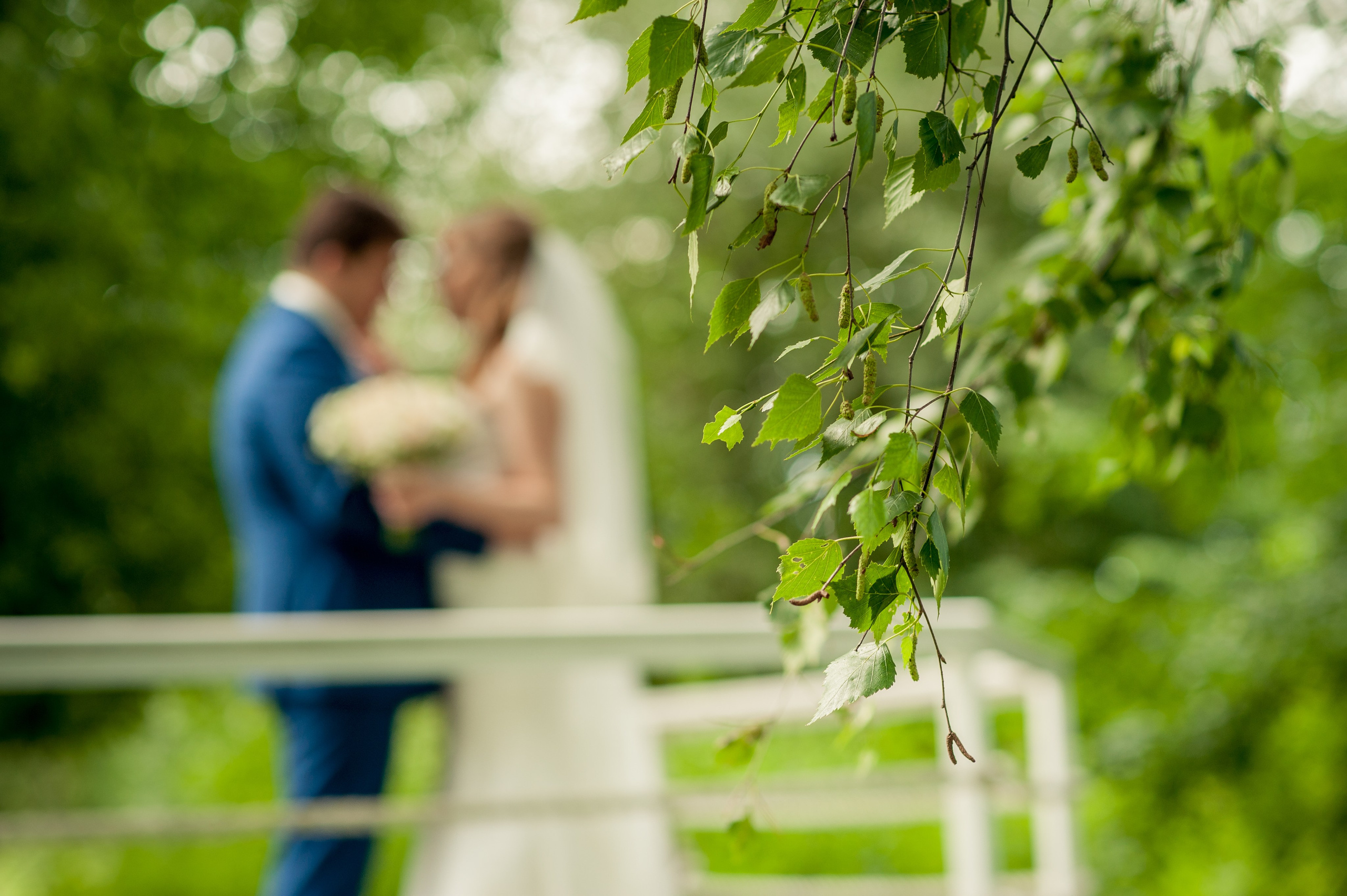 Александр и Елена. Дмитрий Черяник свадебный и семейный фотограф