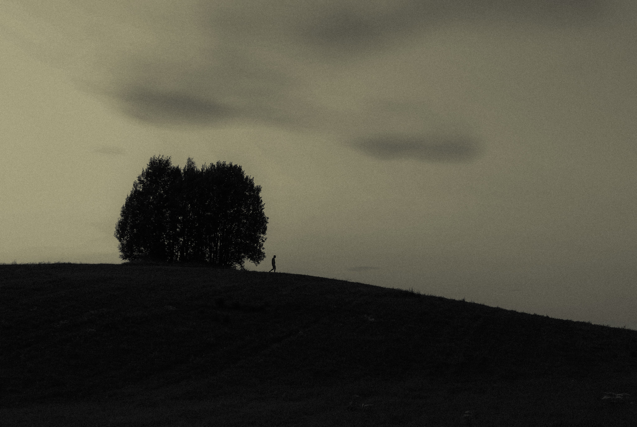 ПОРТРЕТ. Петербургский фотограф Елизавета Мордвина-Щодро