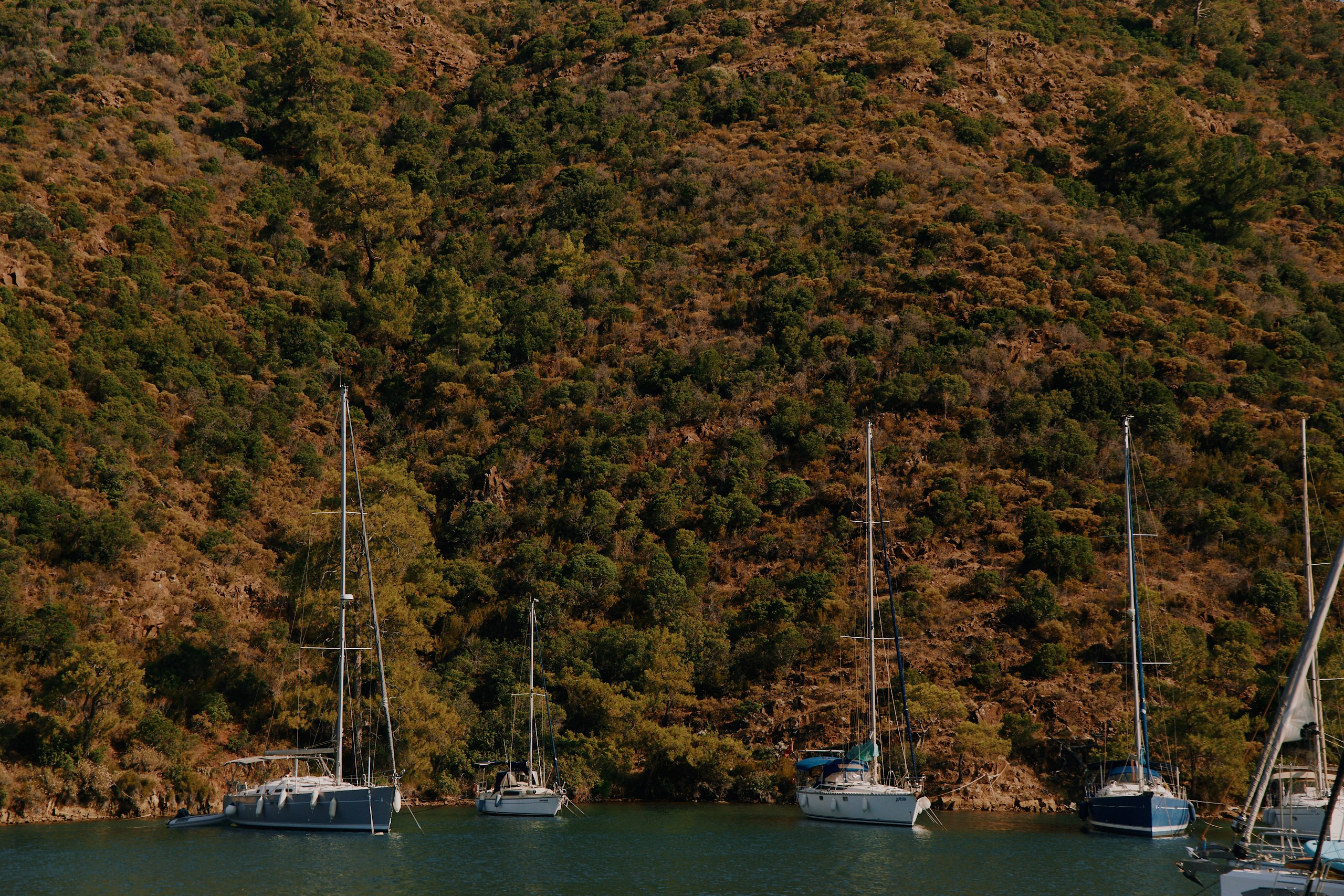 Practicum Business Regatta 2025 Турция. Фотограф в Челябинске — Дмитрий Носов