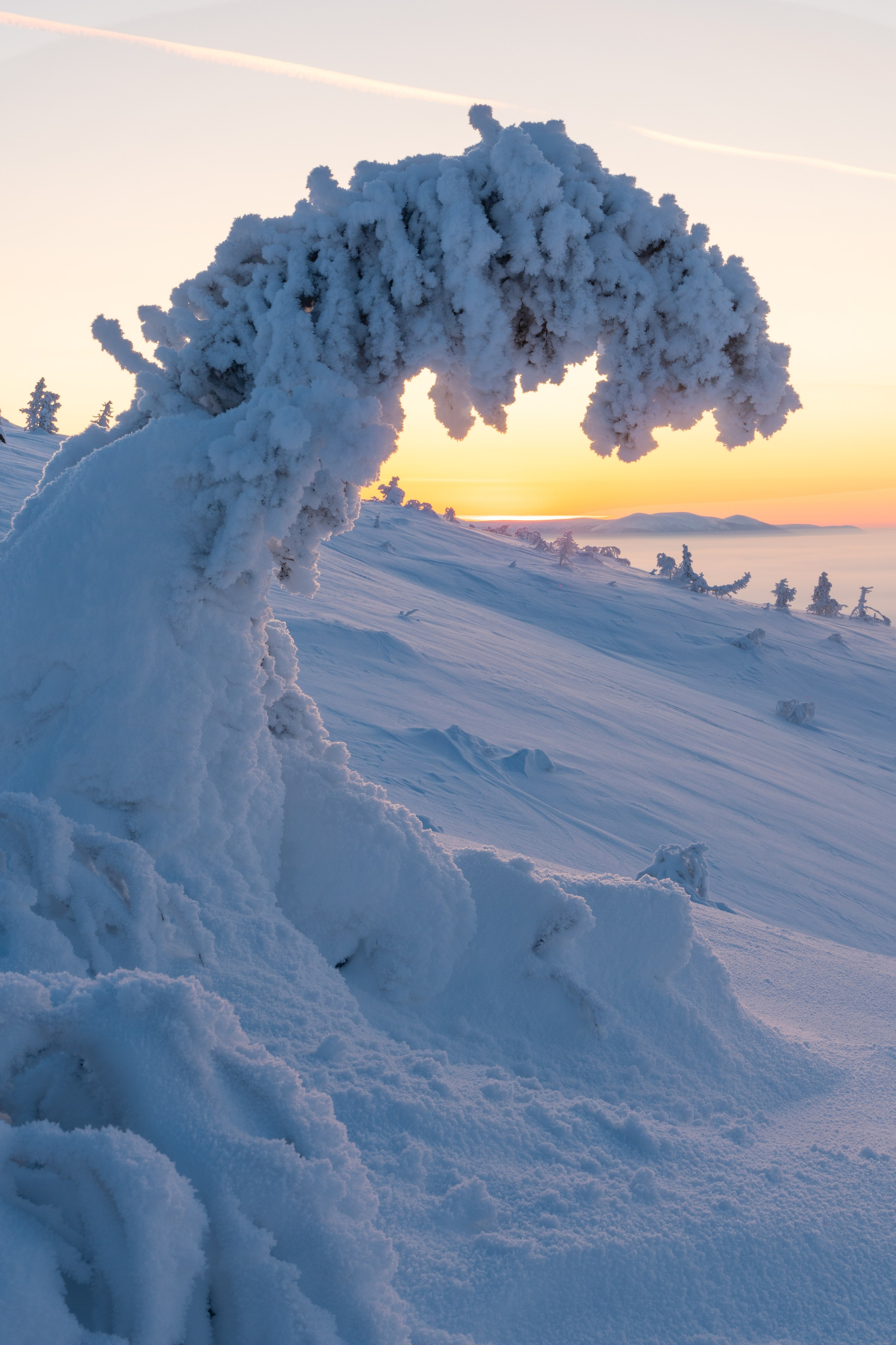 Зима на Кольском полуострове. Daria wanderer photography