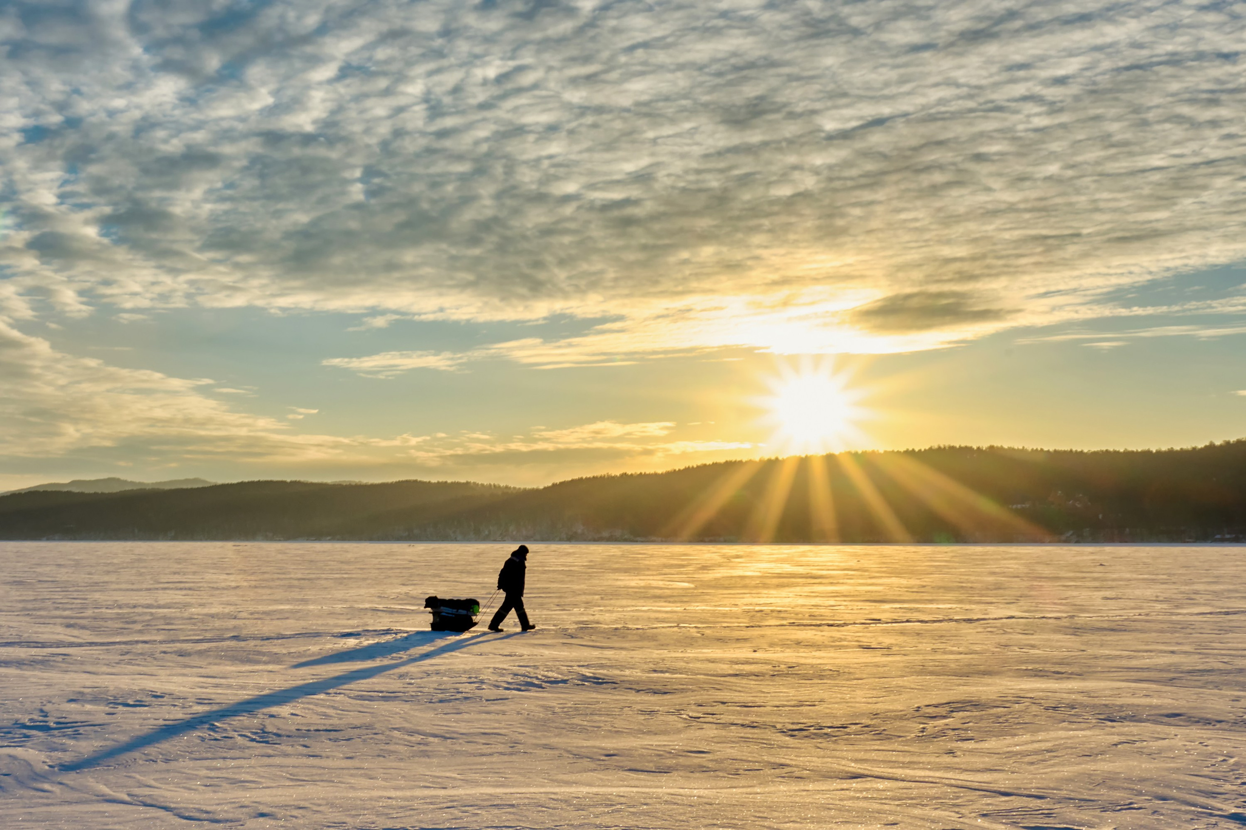 Жизнь, люди, стрит, вокруг, животные, на улице. Яркие фото на Чёрном море