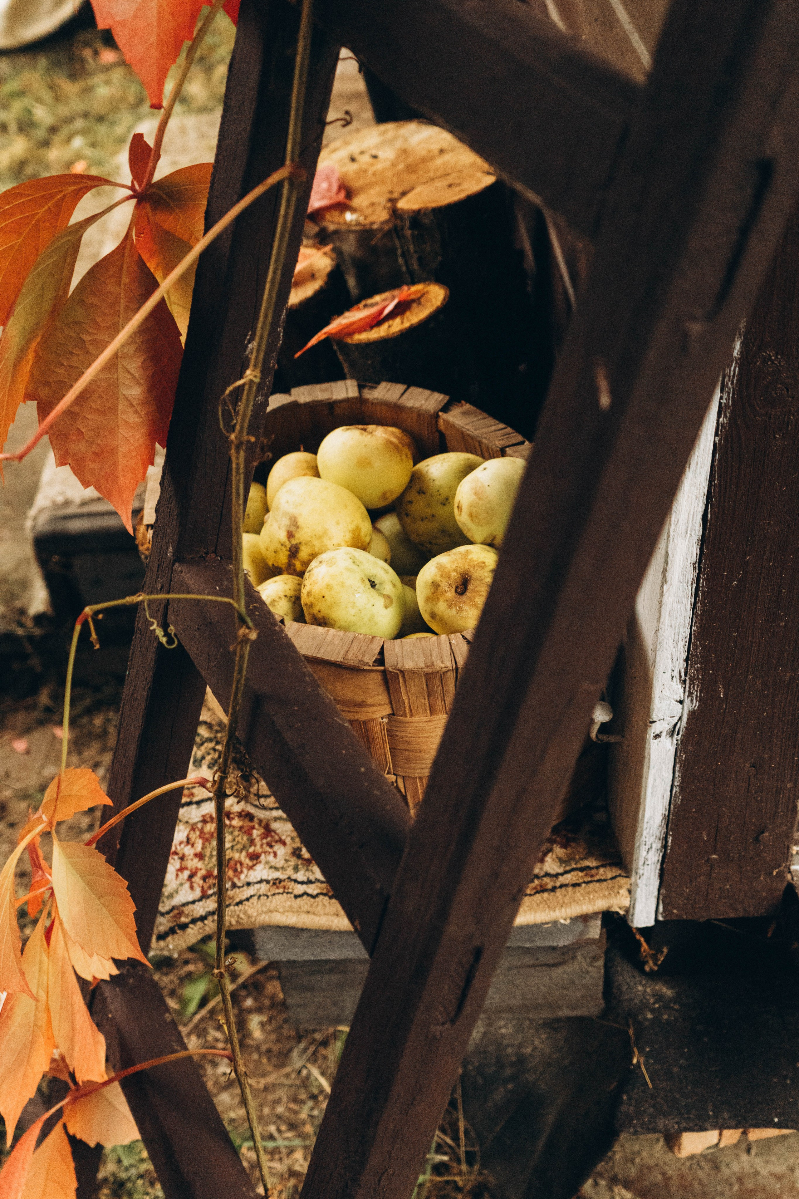 Съемка студии «Аж уютно». Фотограф Москва Валерия Веденина