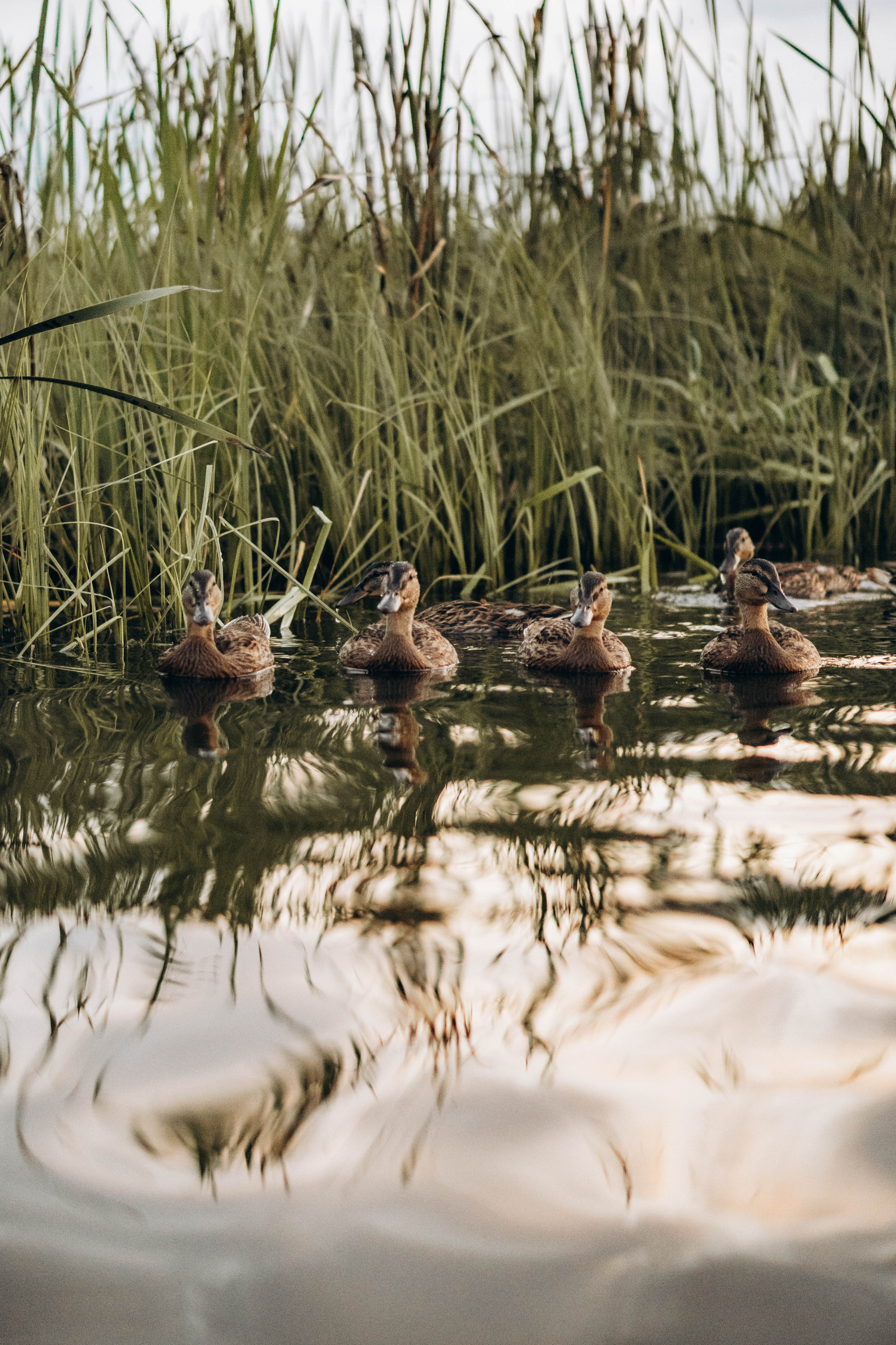 Дарья. Фотограф Москва Валерия Веденина