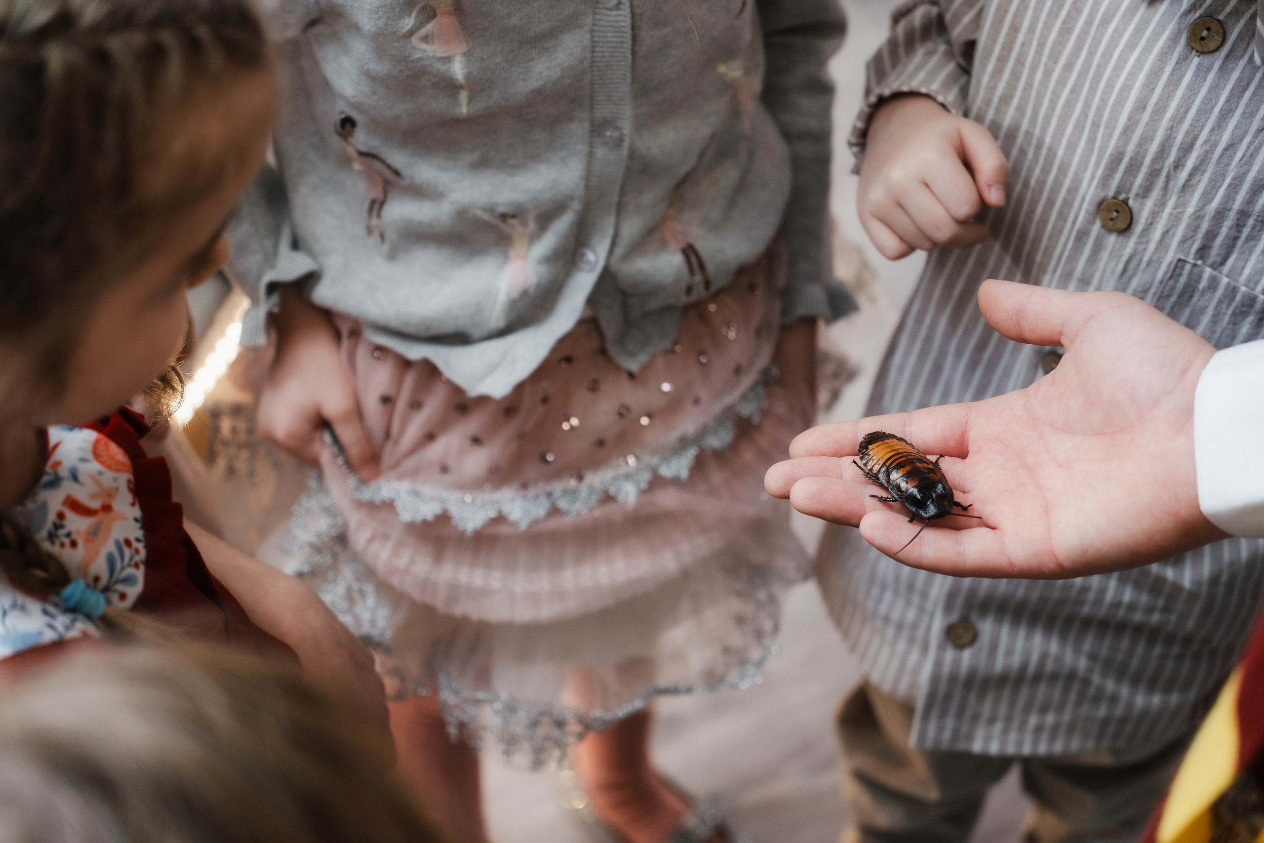 День рождения Тёмы. Свадебный и семейный фотограф в Санкт-Петербурге Виктор Голубев