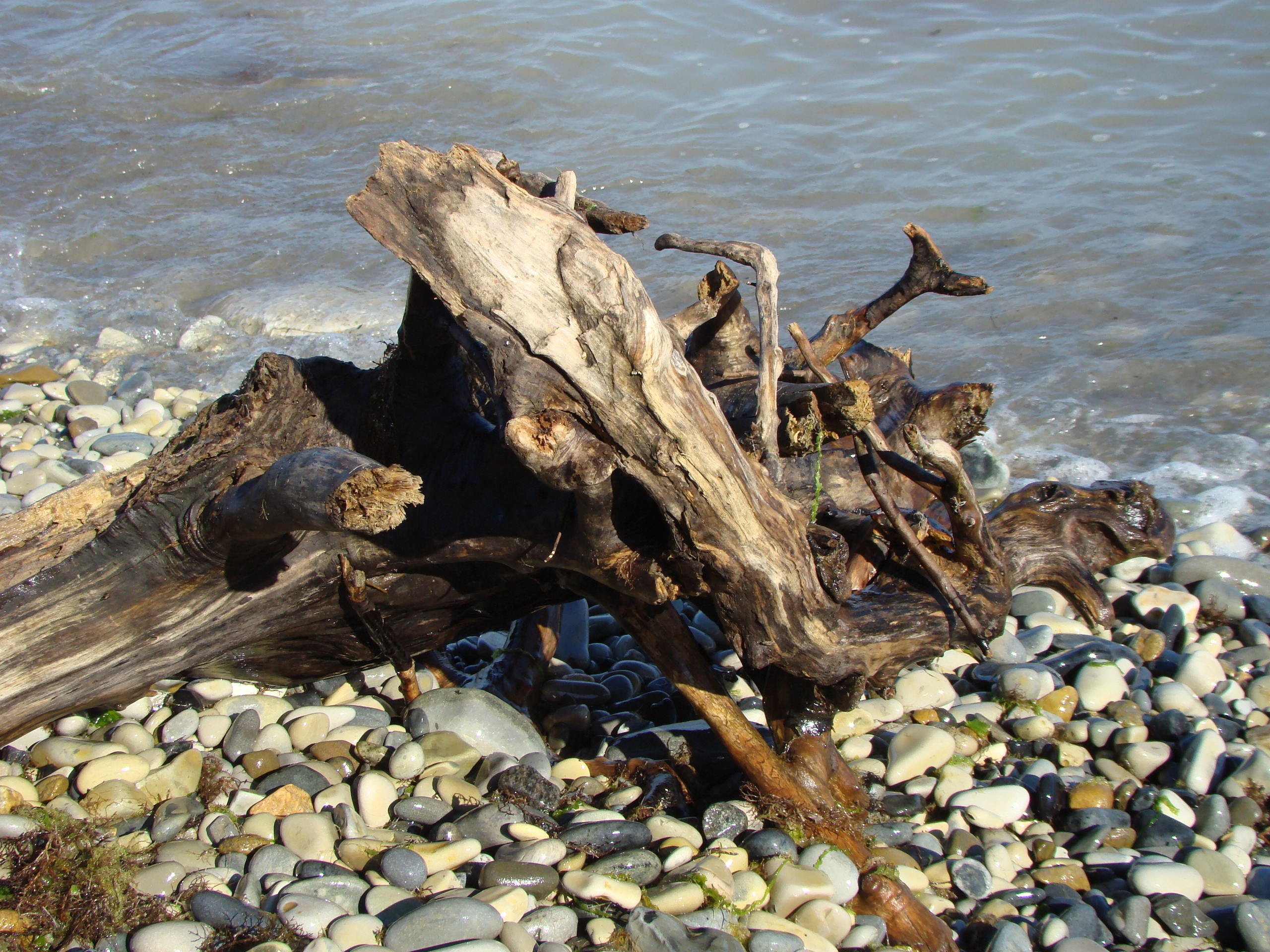 Кабардинка (фото Зевиных) 25.06-24.07.2008. Семейный, Свадебный фотограф СПБ Питер— Романова Екатерина