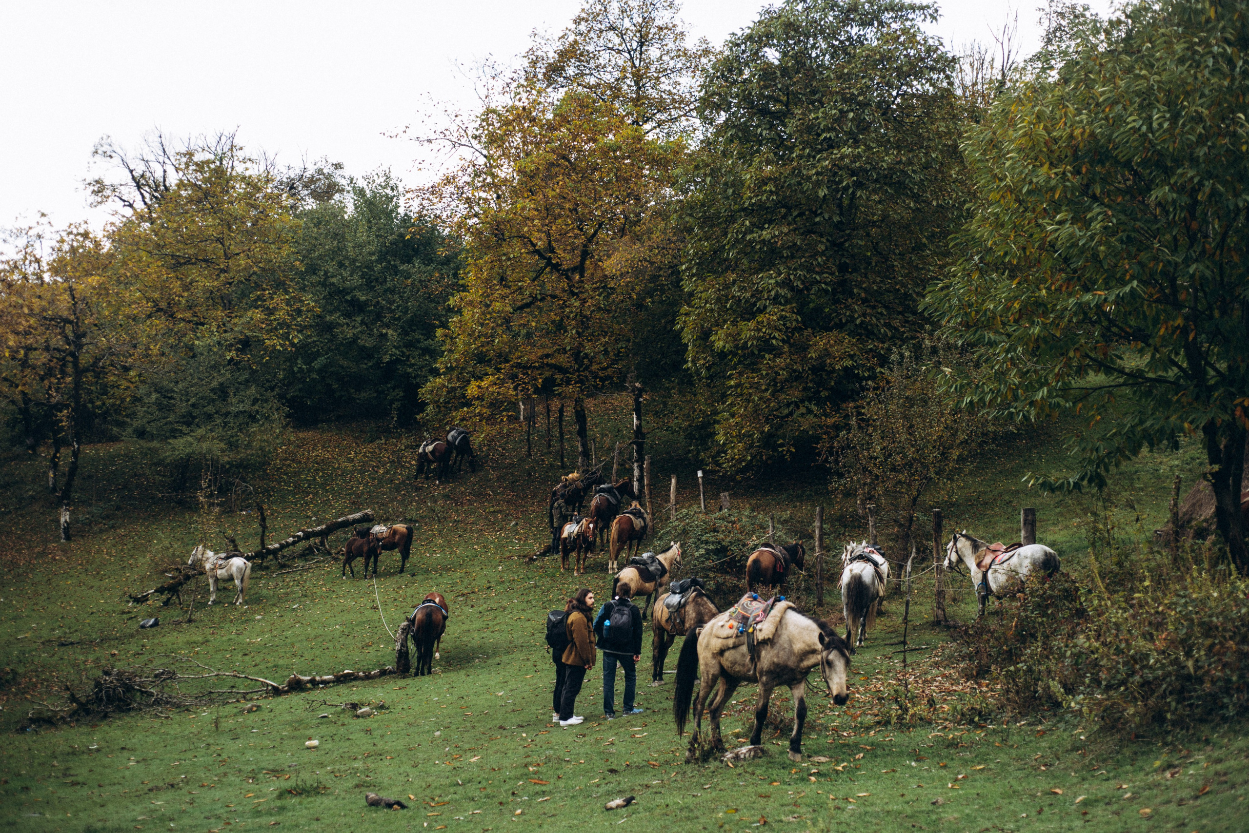 Конный поход 🇬🇪 «PVD Club». Anita_photo