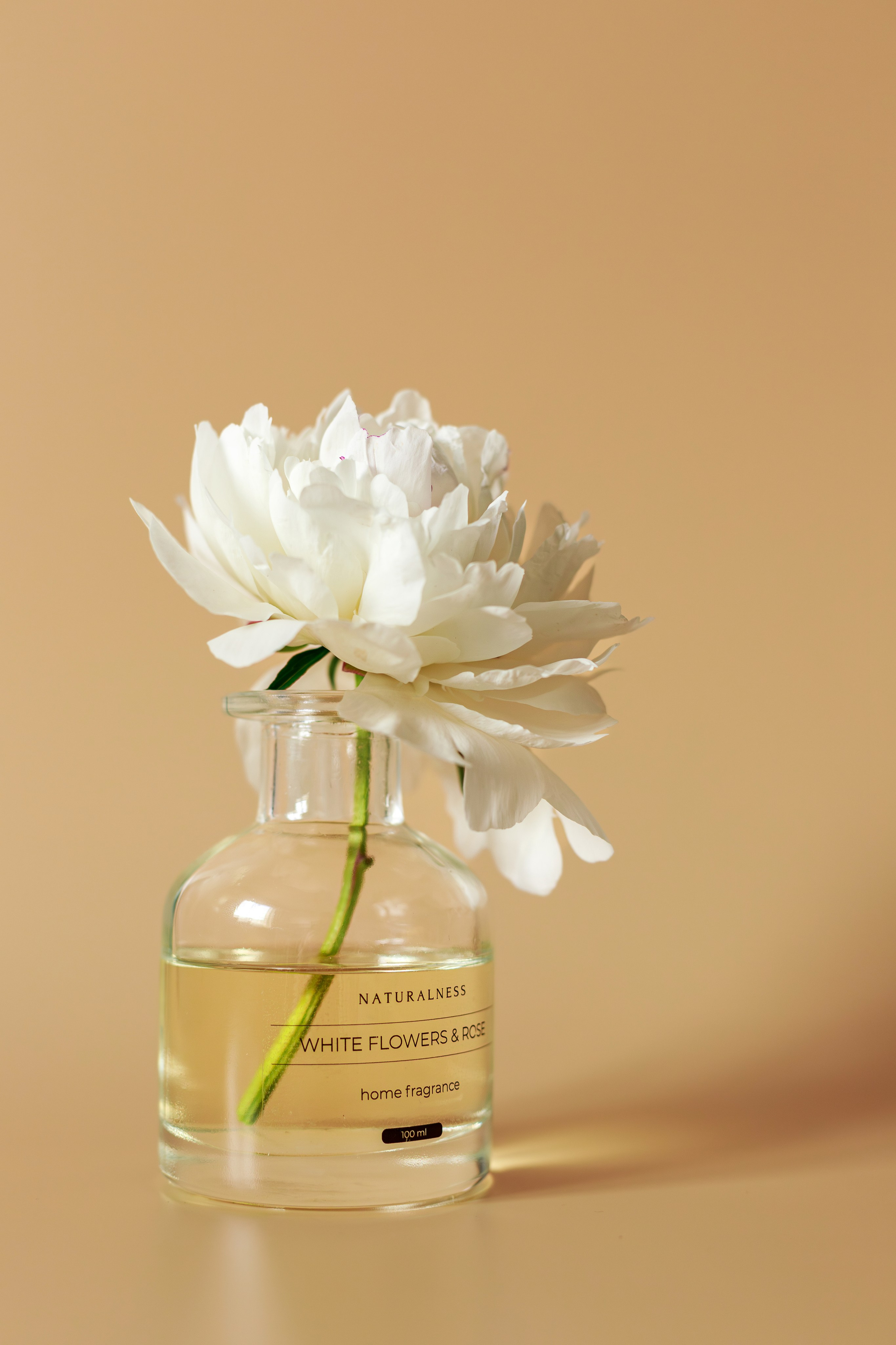 Диффузоры. Семейный и детский фотограф в Краснодаре Ирина Лаврецкая