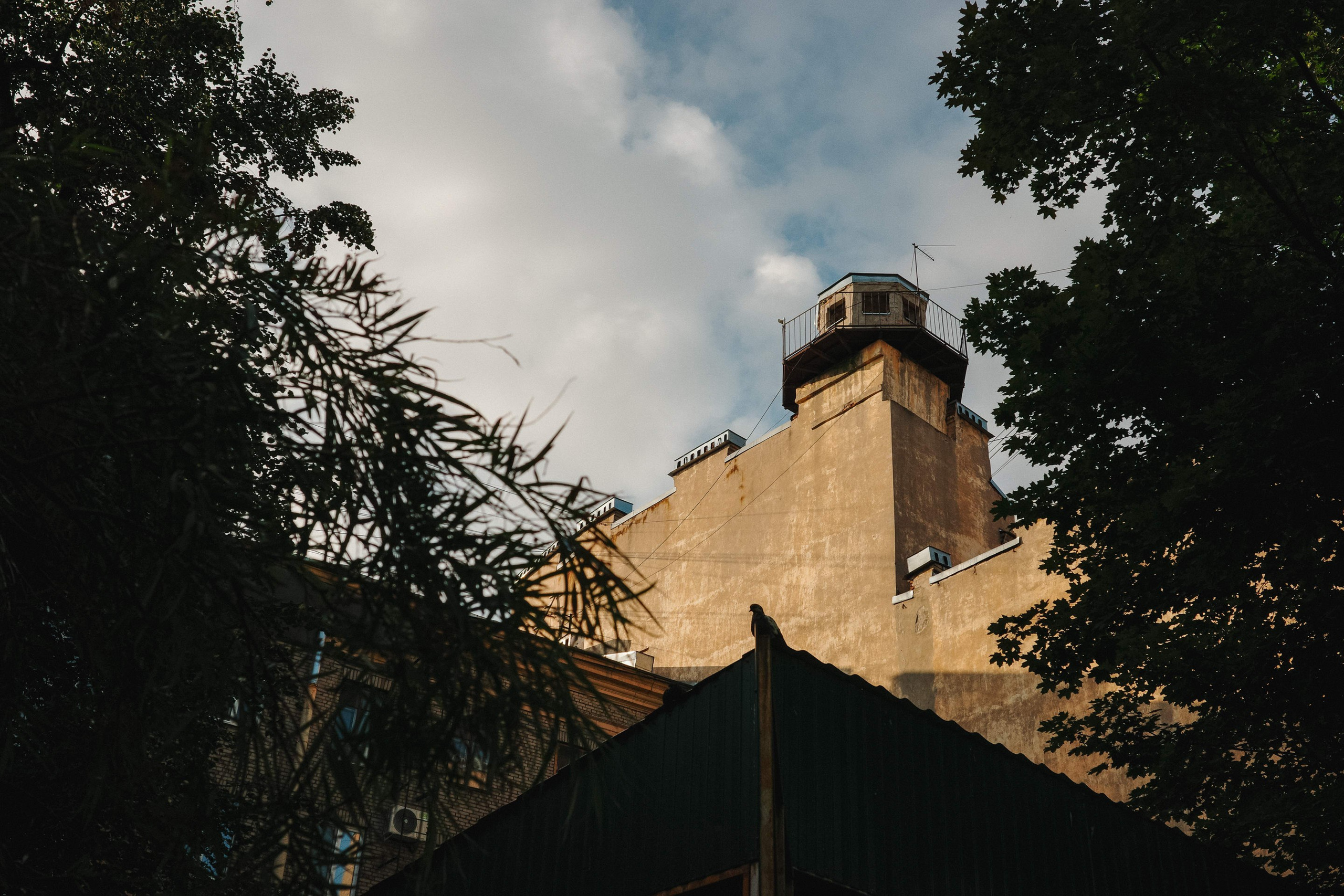 2024.08. Фотограф Алексей Алексеев