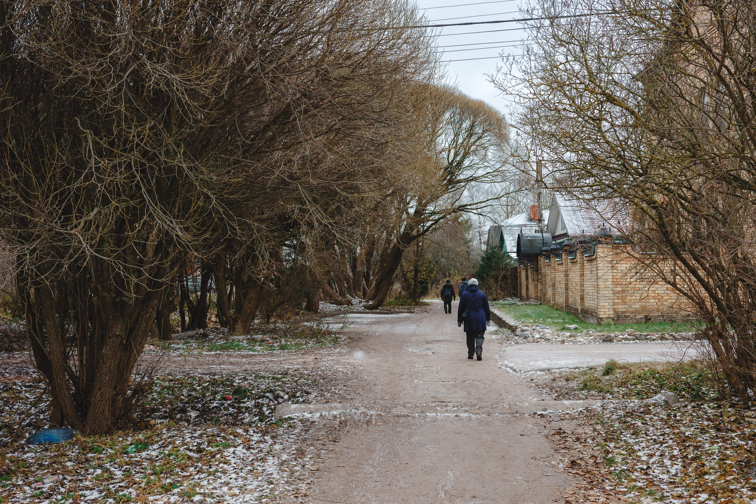 2023.11. Фотограф Алексей Алексеев