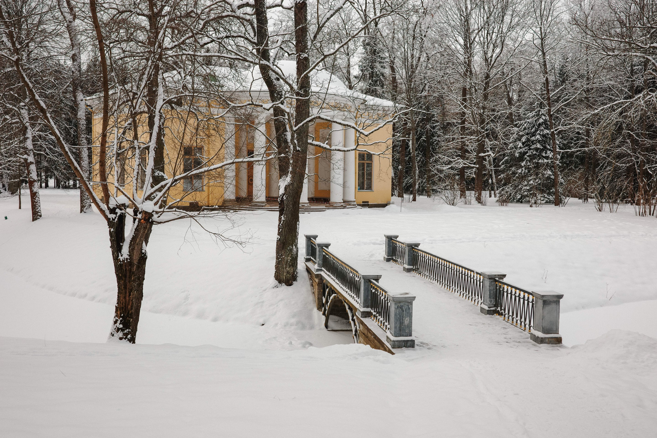 2025.02. Фотограф Алексей Алексеев