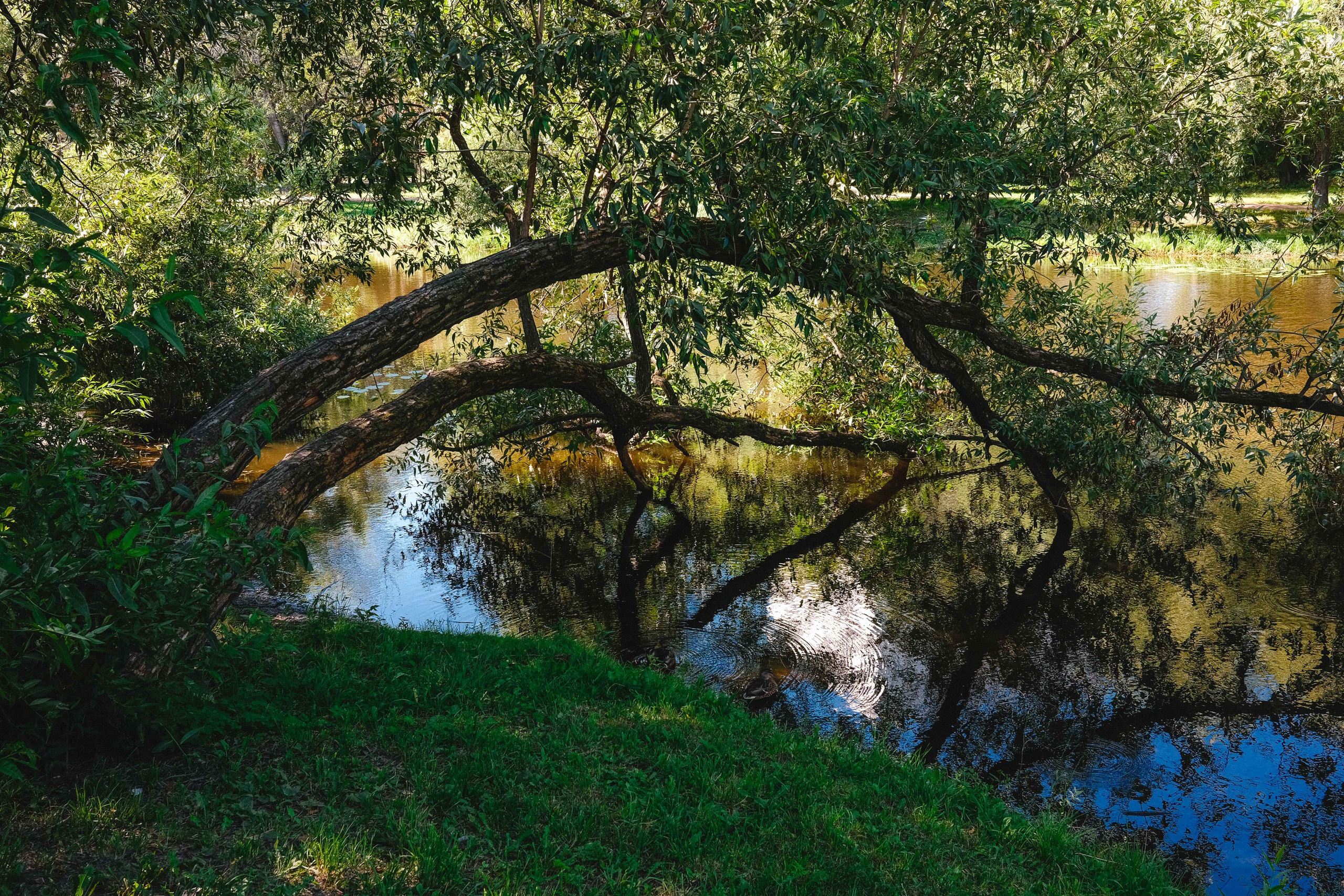 2023.08. Фотограф Алексей Алексеев