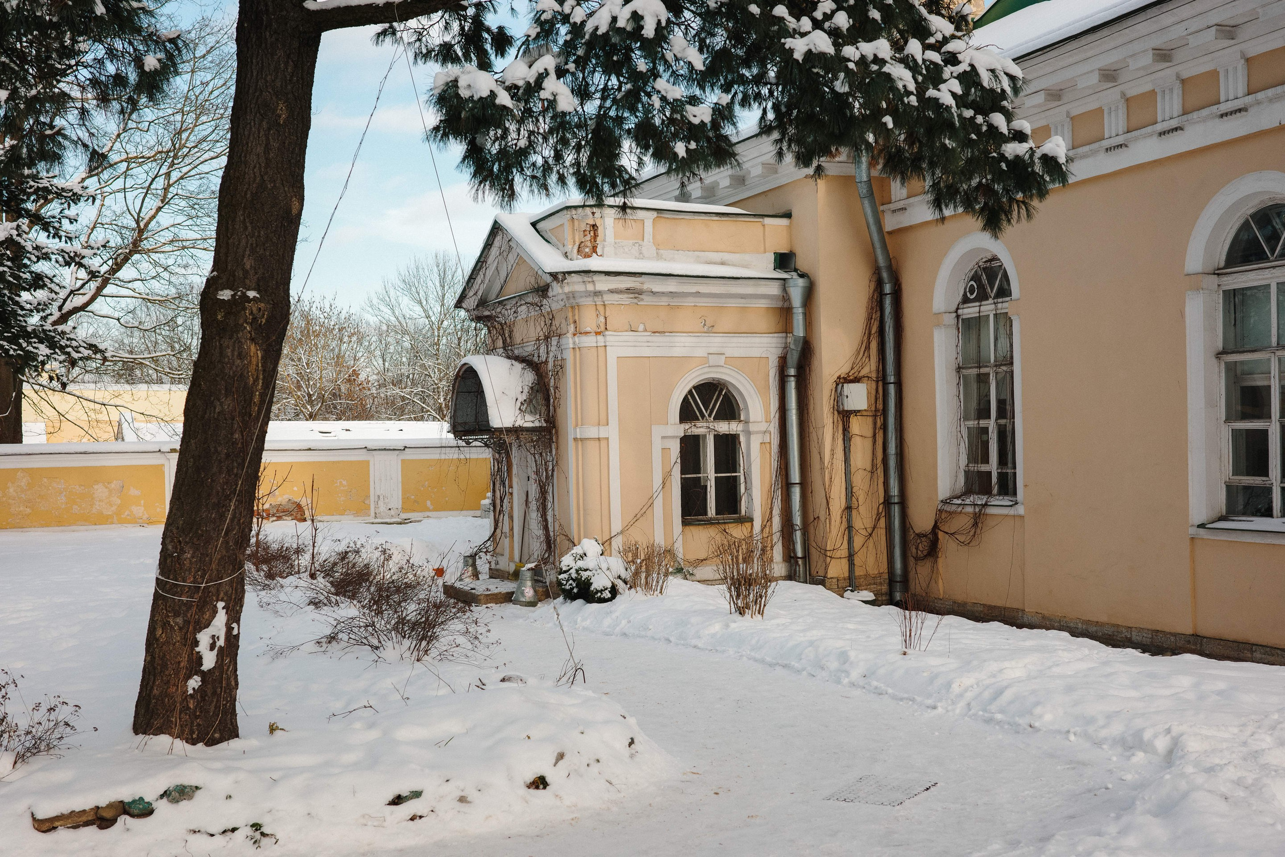 2025.02. Фотограф Алексей Алексеев