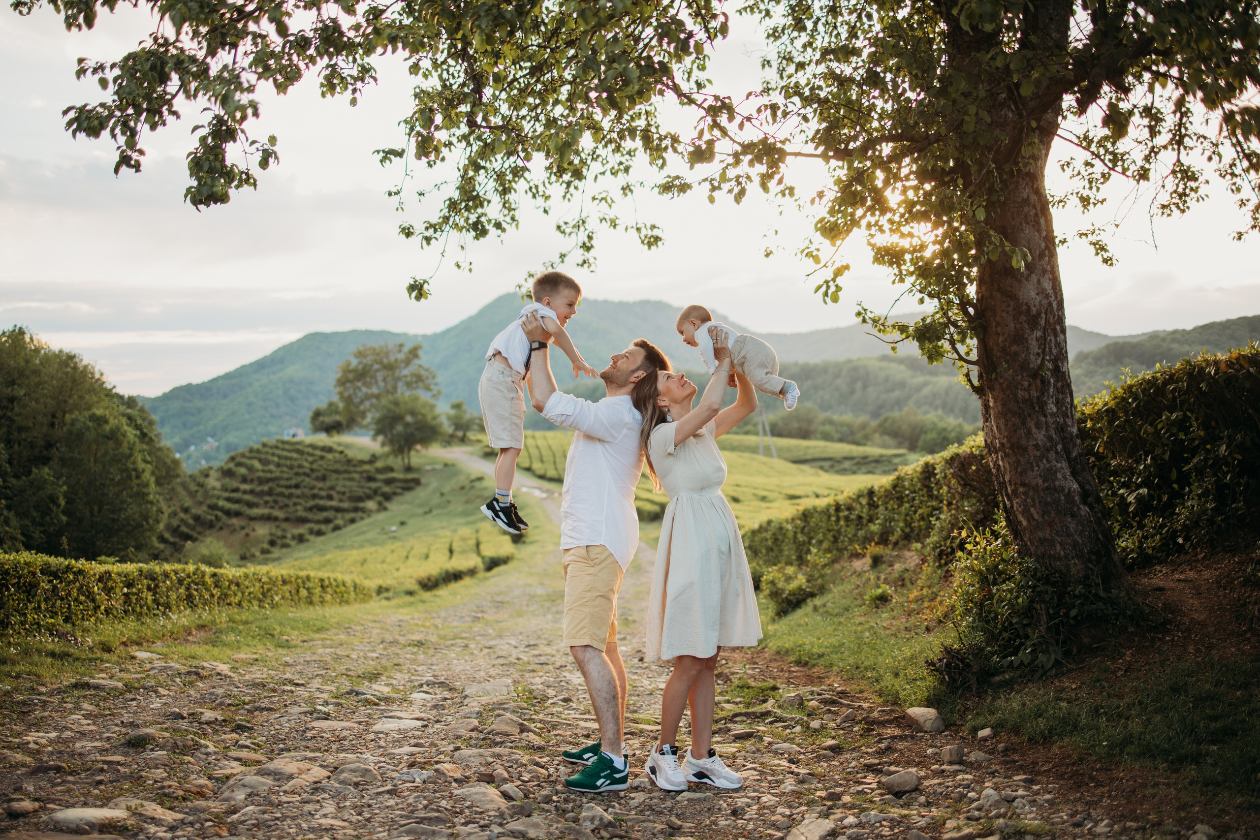 Чайные плантации мацеста. Фотограф Сочи Татьяна Зорина