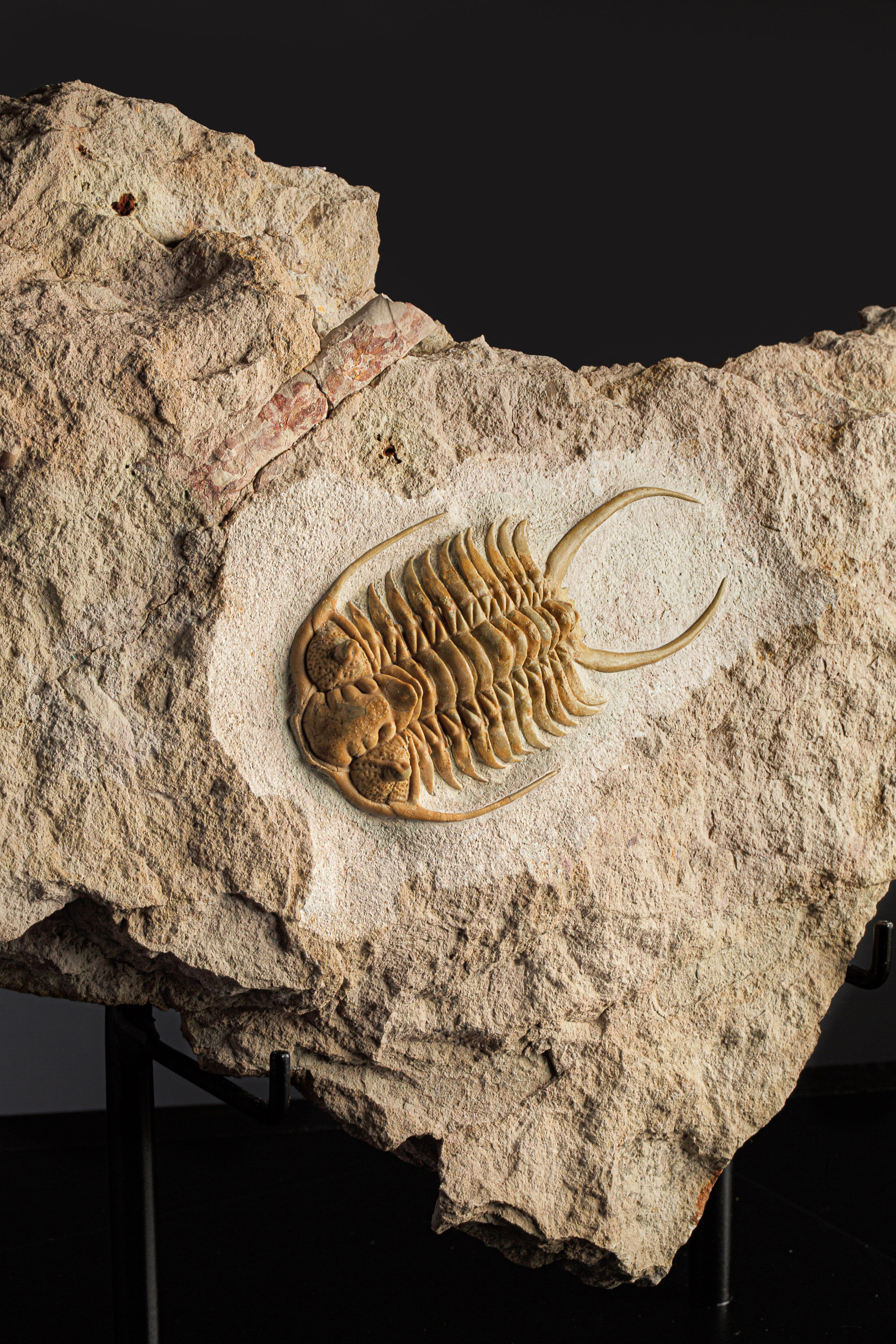 Профессиональная обработка натуральных камней, минералов и ископаемых | Студия SVITHART