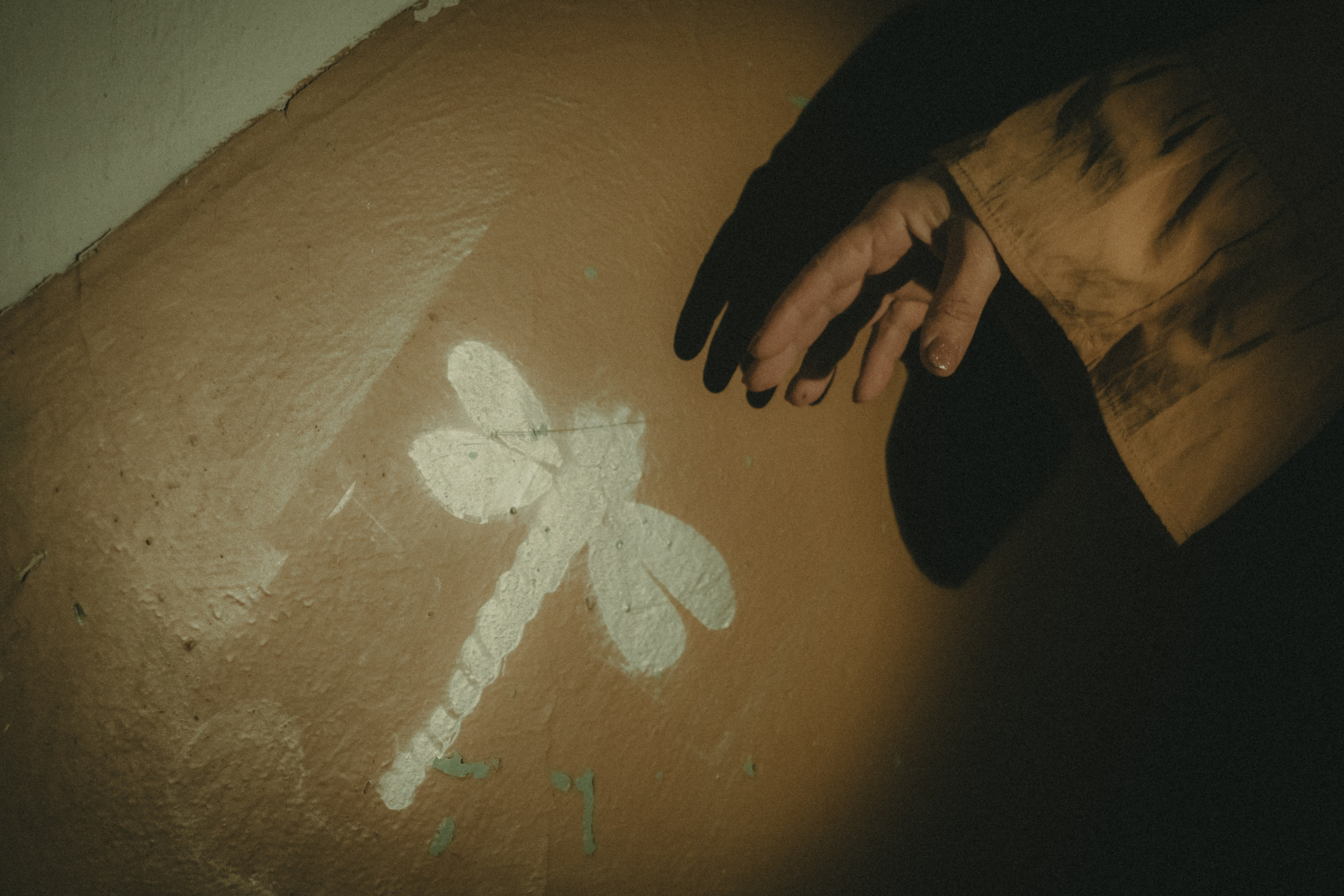 Стрекоза. Фотограф Крещение Венчание Москва