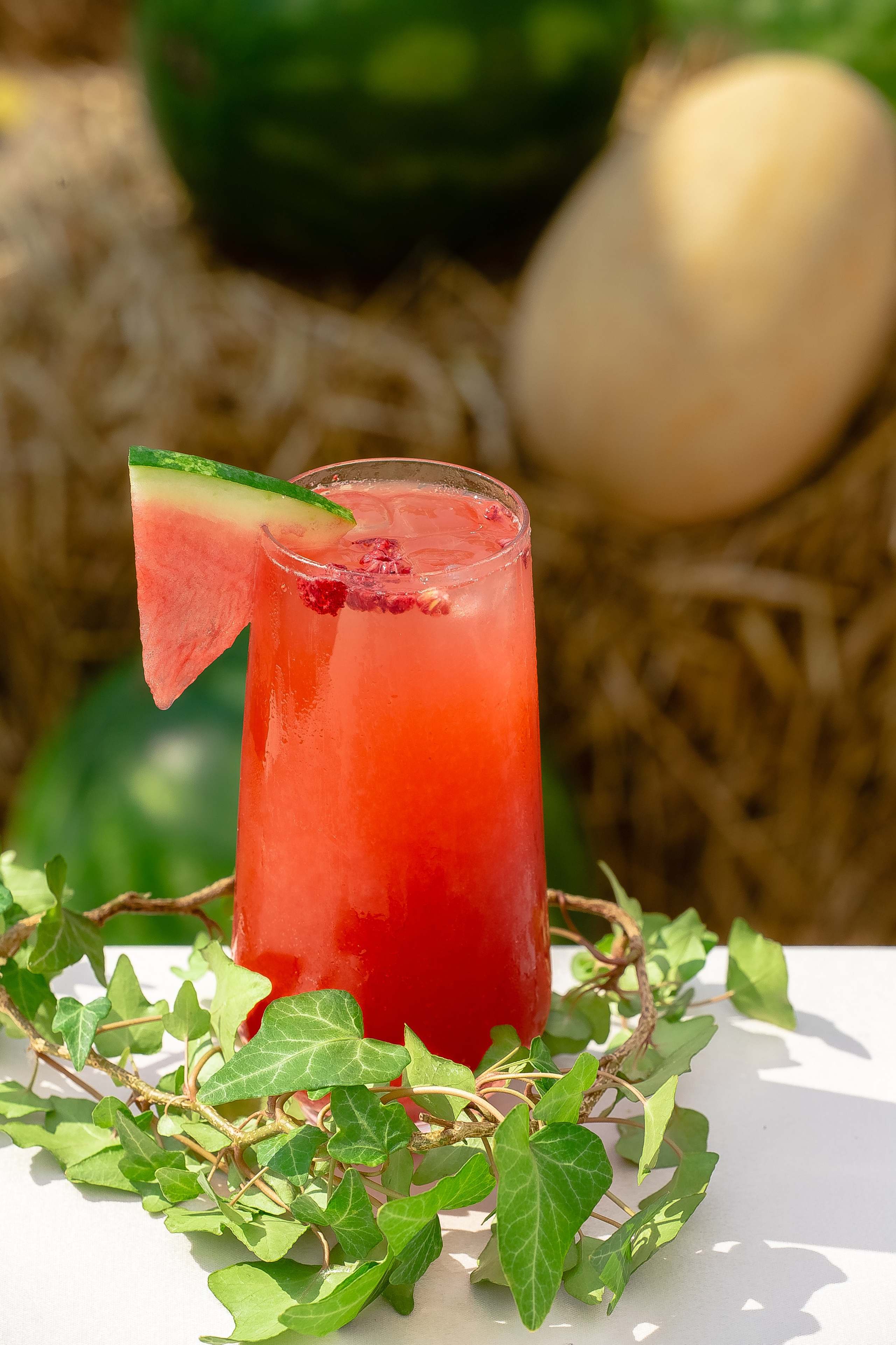 Фотосъемка для соцсетей — Instagram, VK | Николай Завалишин. NICKZAVALISHIN — Визуал который продаёт