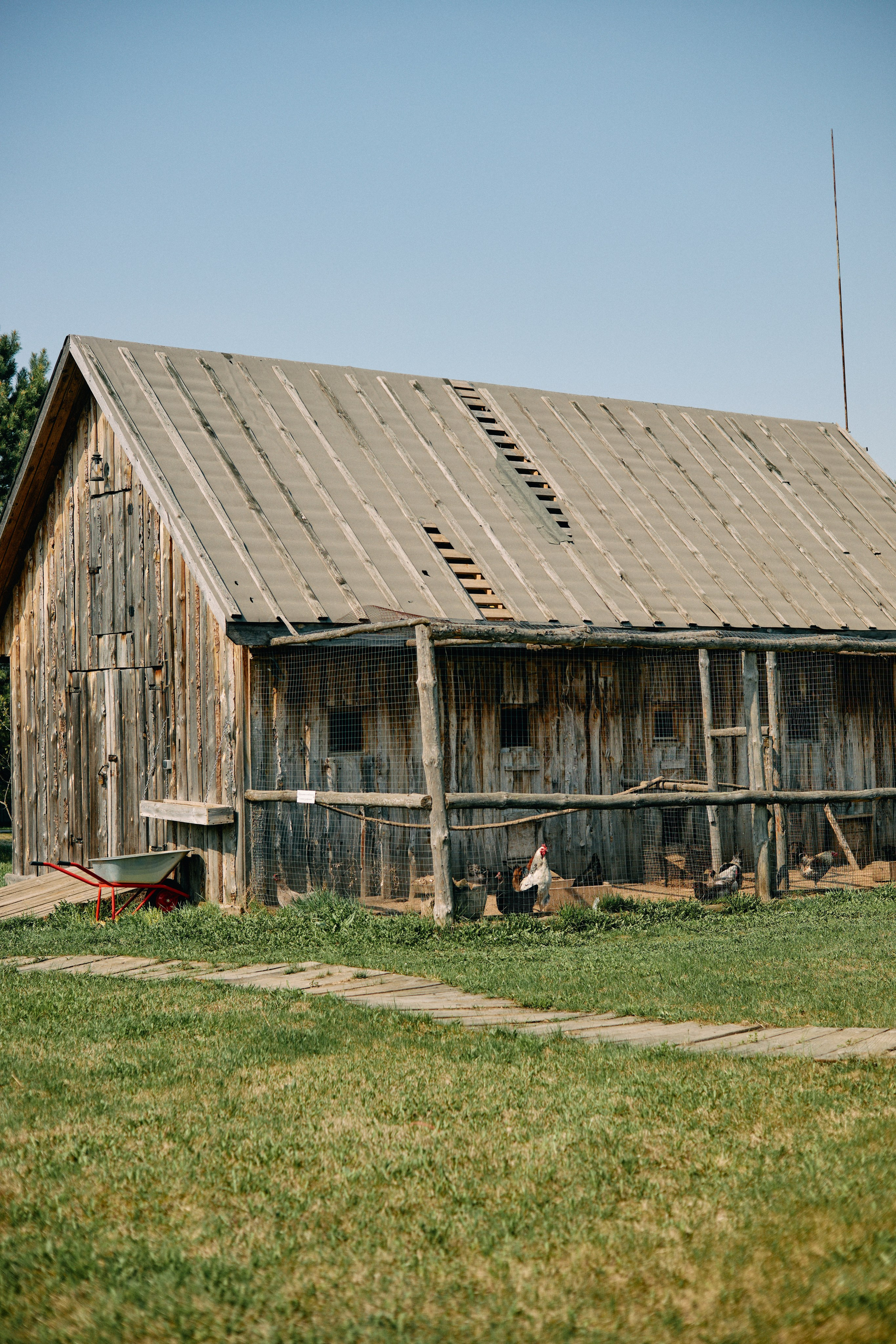 Бутик-отель Поле летом. Профессиональный Фотограф во Владимире, в Москве и в Суздале — Полина Романычева
