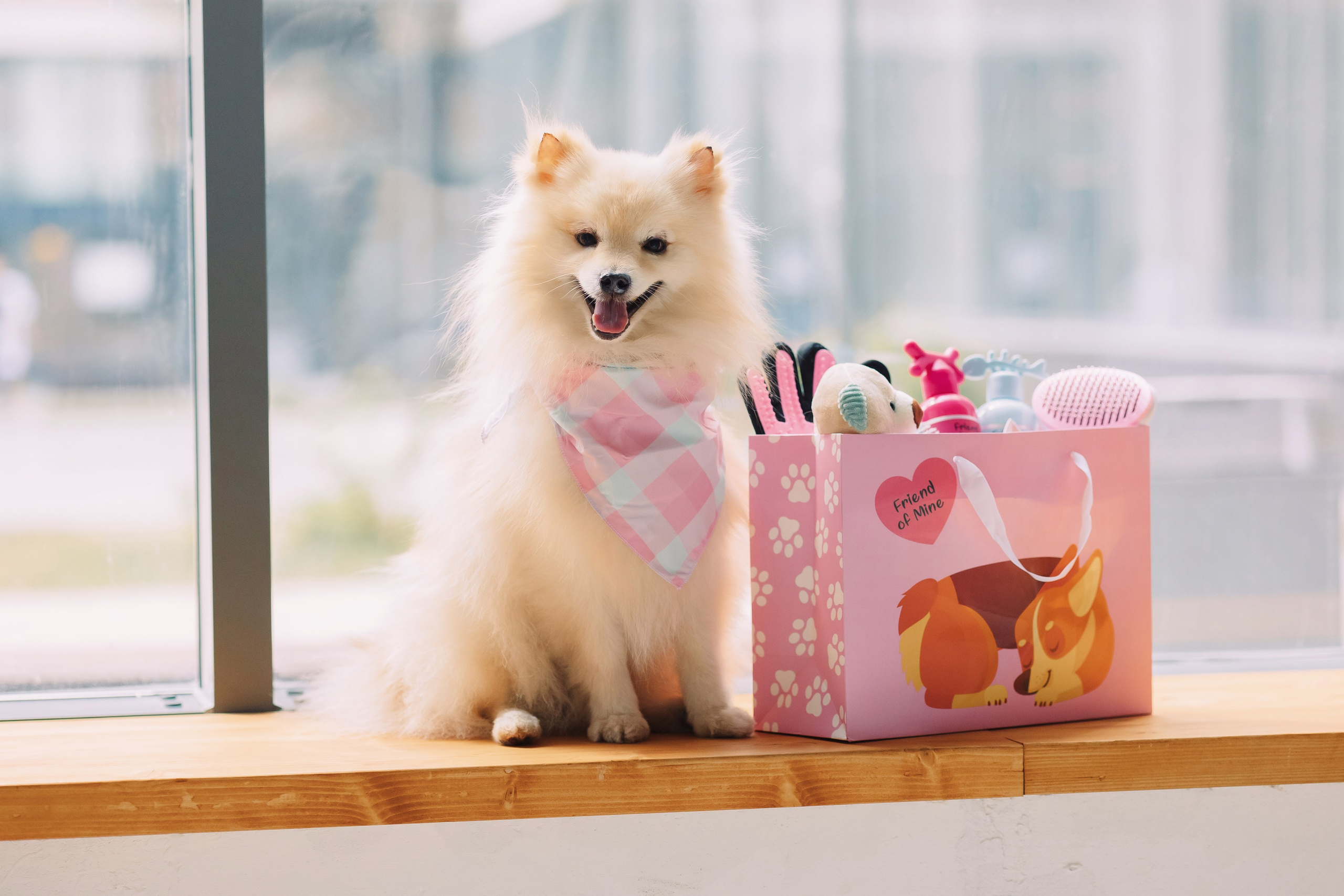 Магазин Friend of mine. Фотограф-анималист Елена Радченко, Москва