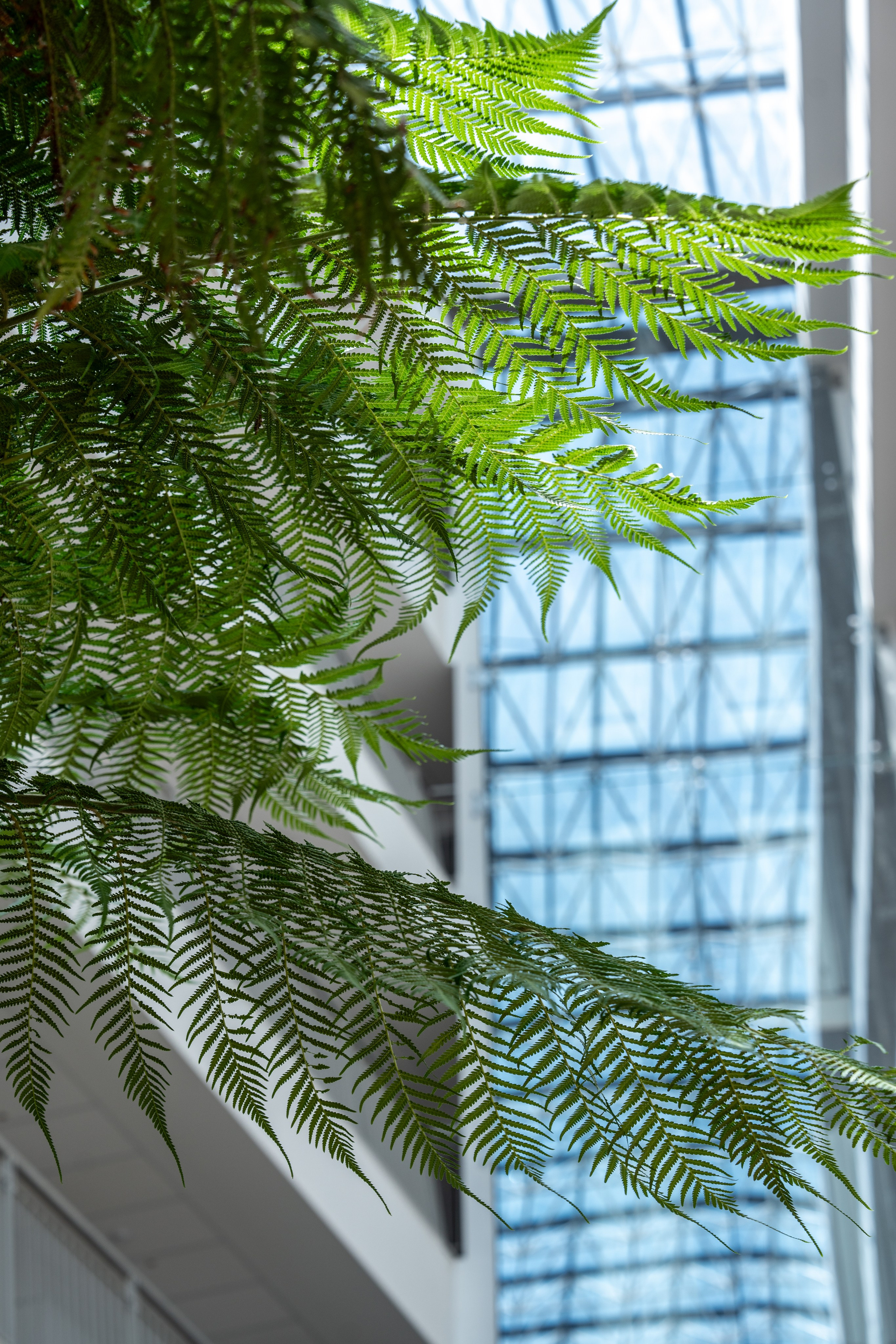 Санаторий Кристалл. Отельный интерьерный фотограф Сочи