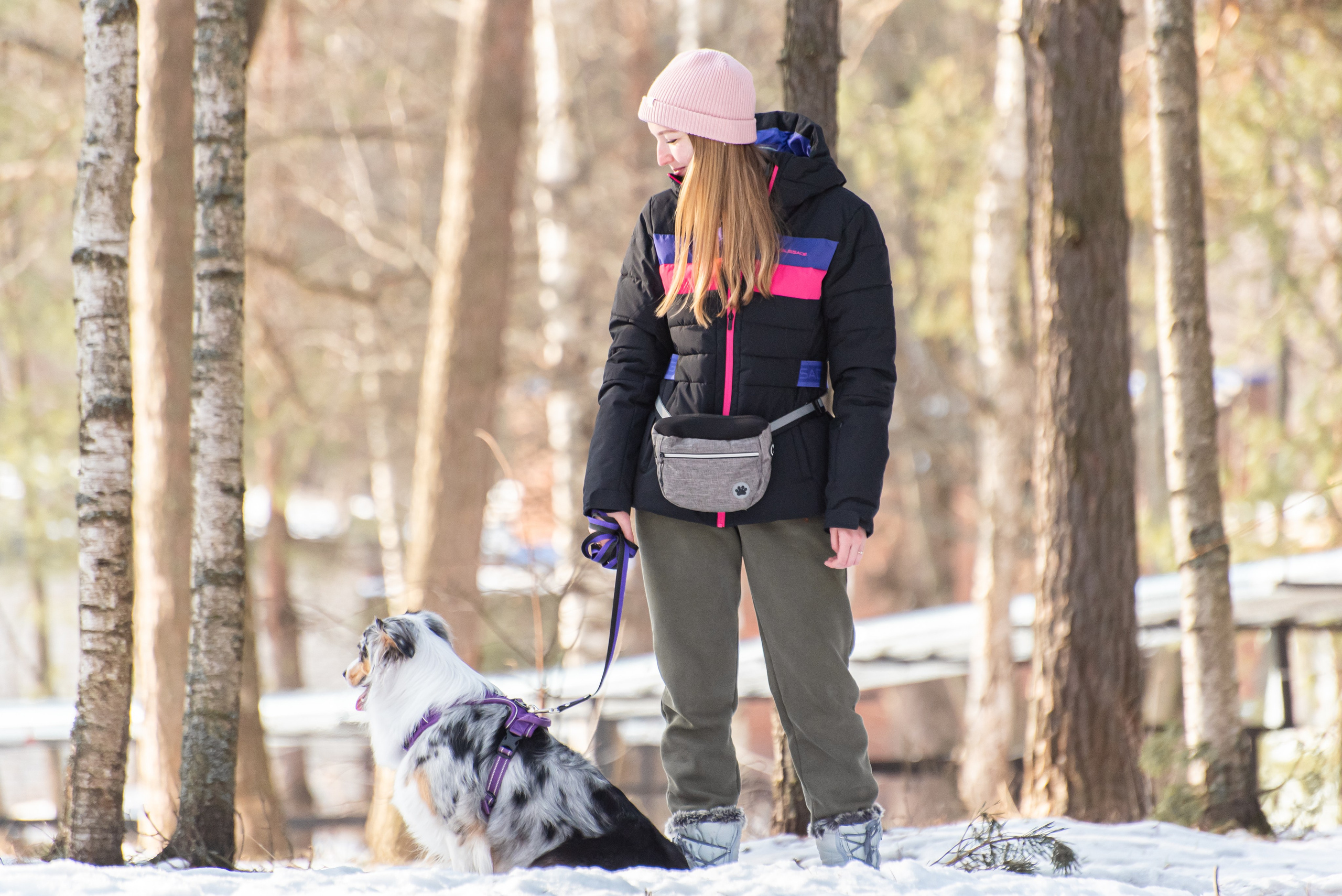 Фотосъёмка с собаками в Кинологическом лагере. Фотограф Макс Огурцов в Нижнем Новгороде