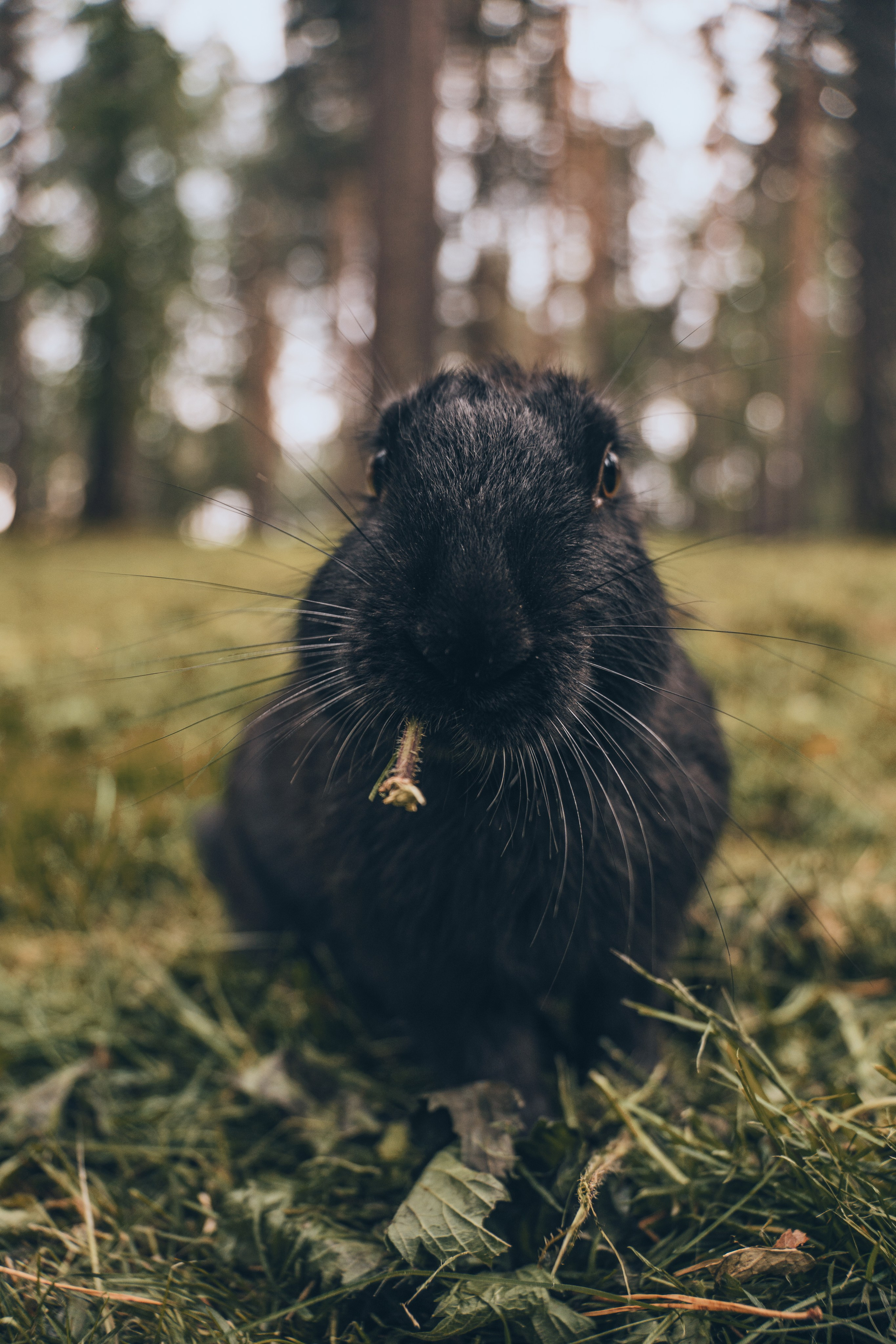 Алтай. Gusarov Travel Photography