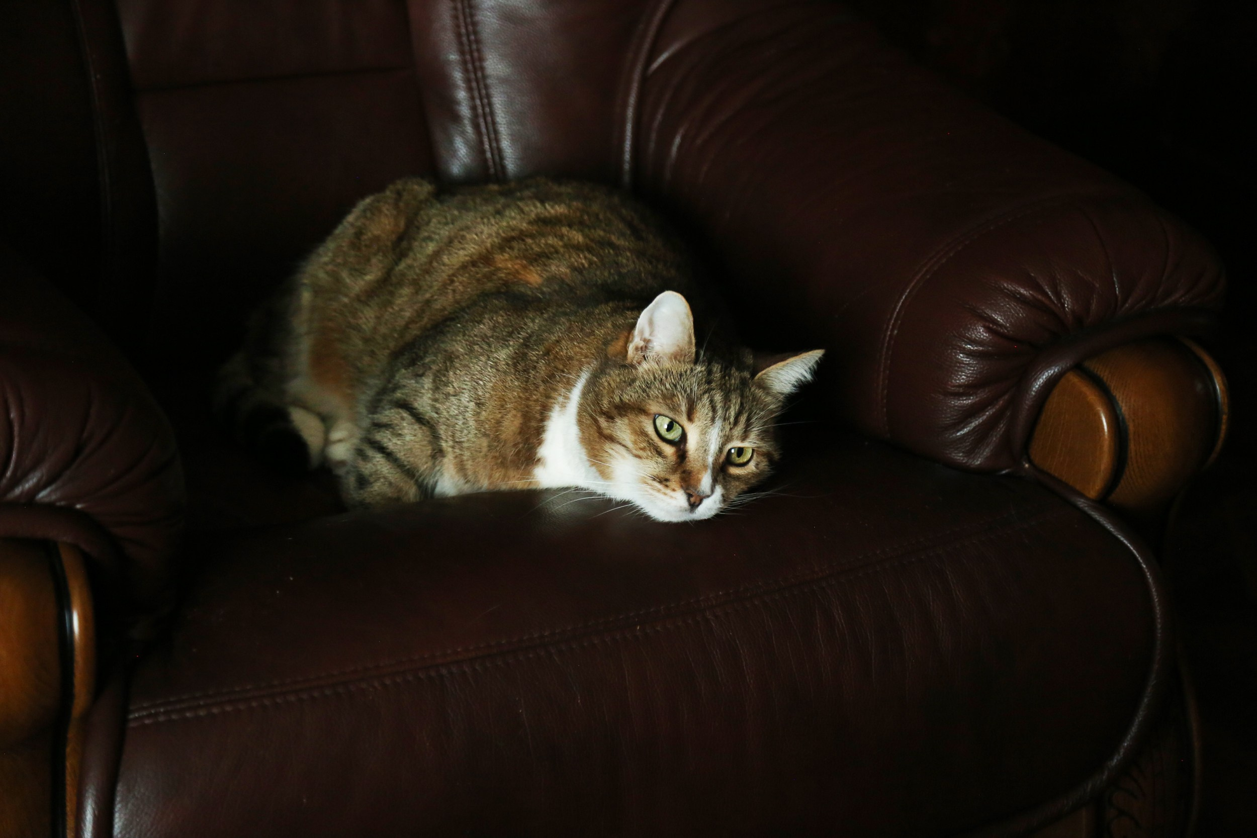 Фотосессия на 1 годик Полине. Фотосессия в студии в Москве от профессионального фотографа услуги по доступным ценам