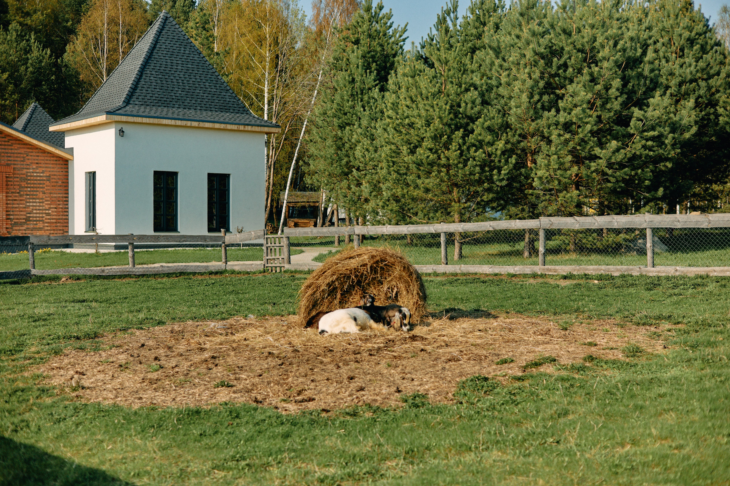 Бутик-отель Поле летом. Профессиональный Фотограф во Владимире, в Москве и в Суздале — Полина Романычева