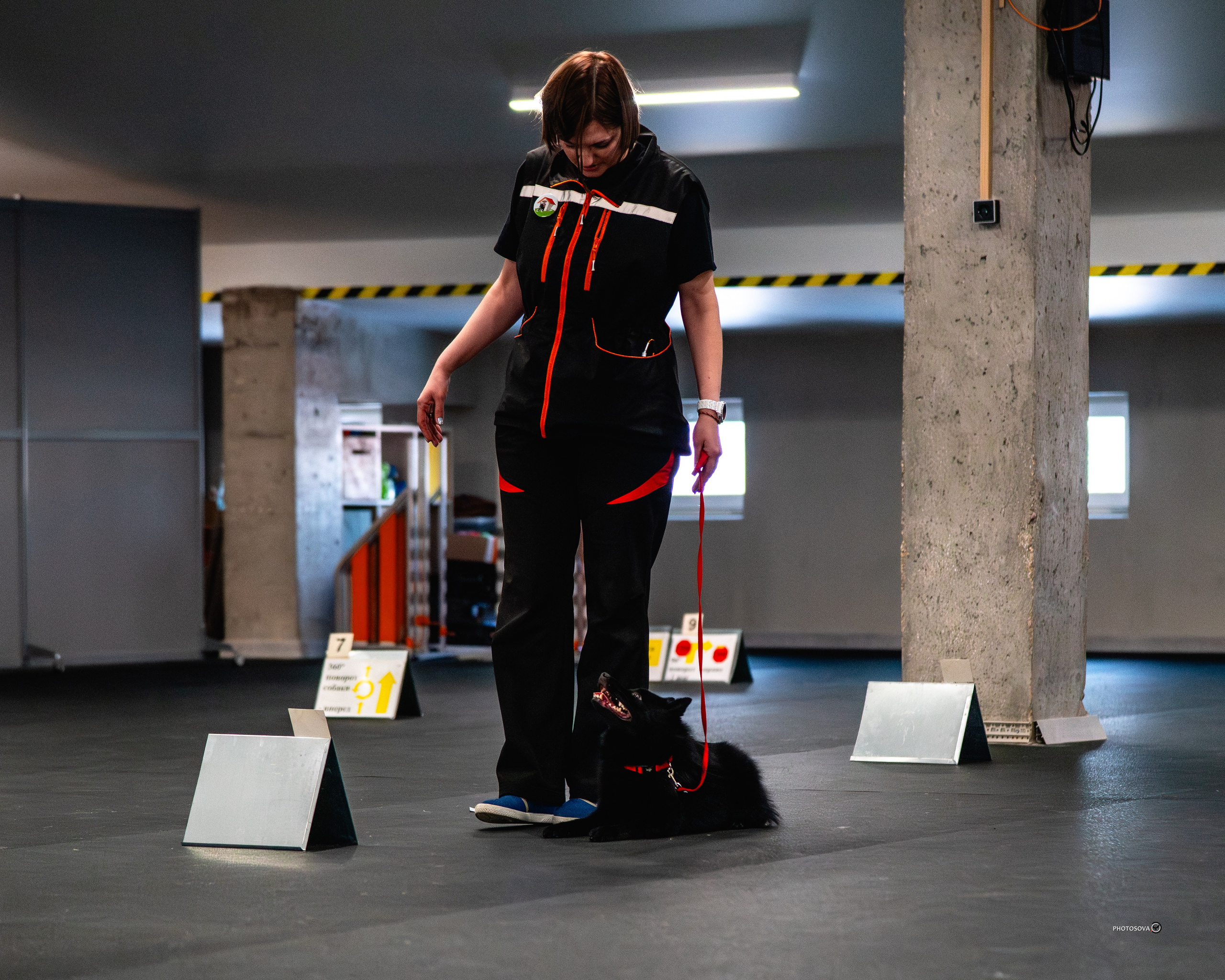 ТЫ И Я (соревнования по ралли-обидиенс). Фотограф-анималист, семейный фотограф в Москве и Подмосковье. Фотосъёмка кинологических дисциплин