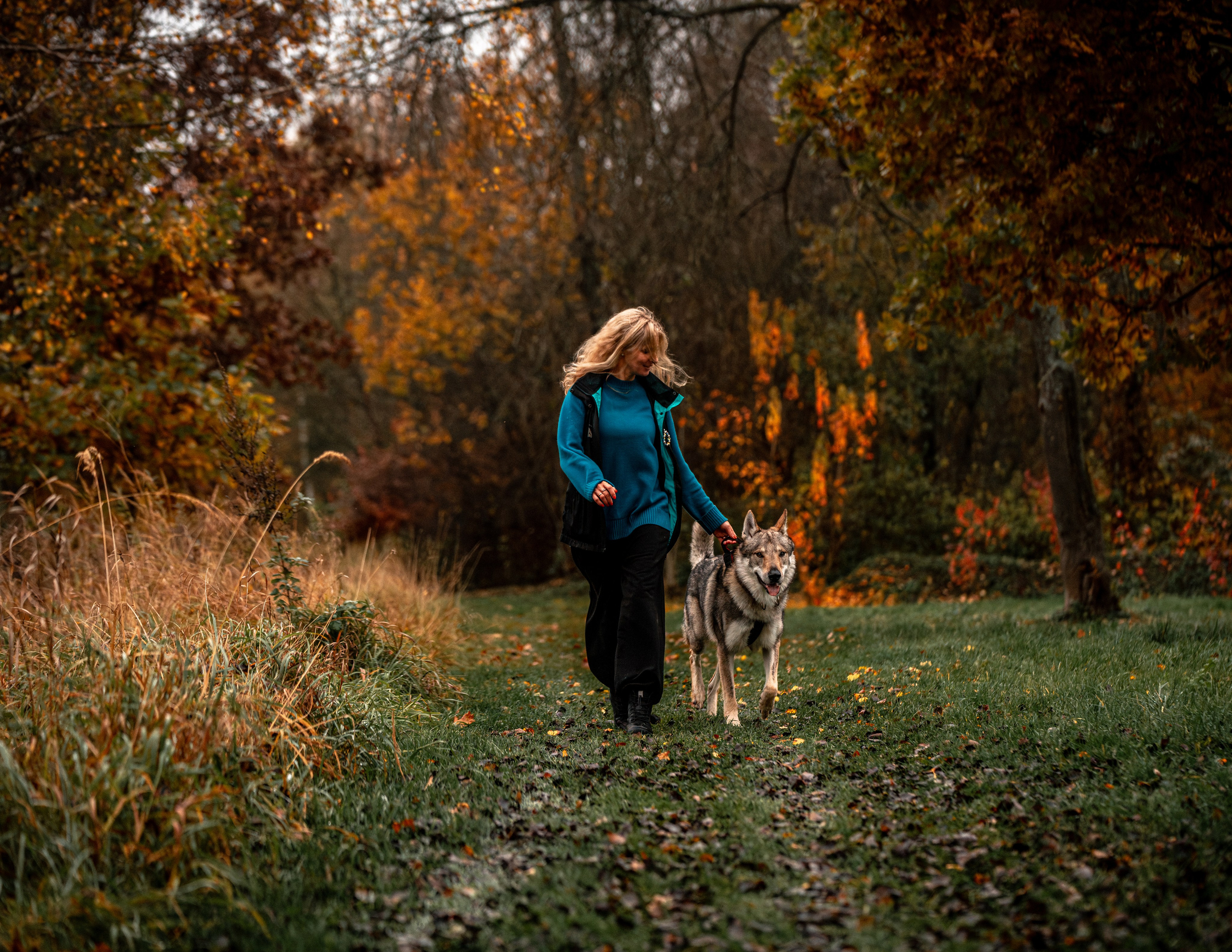ФОТОПАМЯТЬ ВАШИХ ЭМОЦИЙ. Фотограф-анималист, семейный фотограф в Москве и Подмосковье. Фотосъёмка кинологических дисциплин