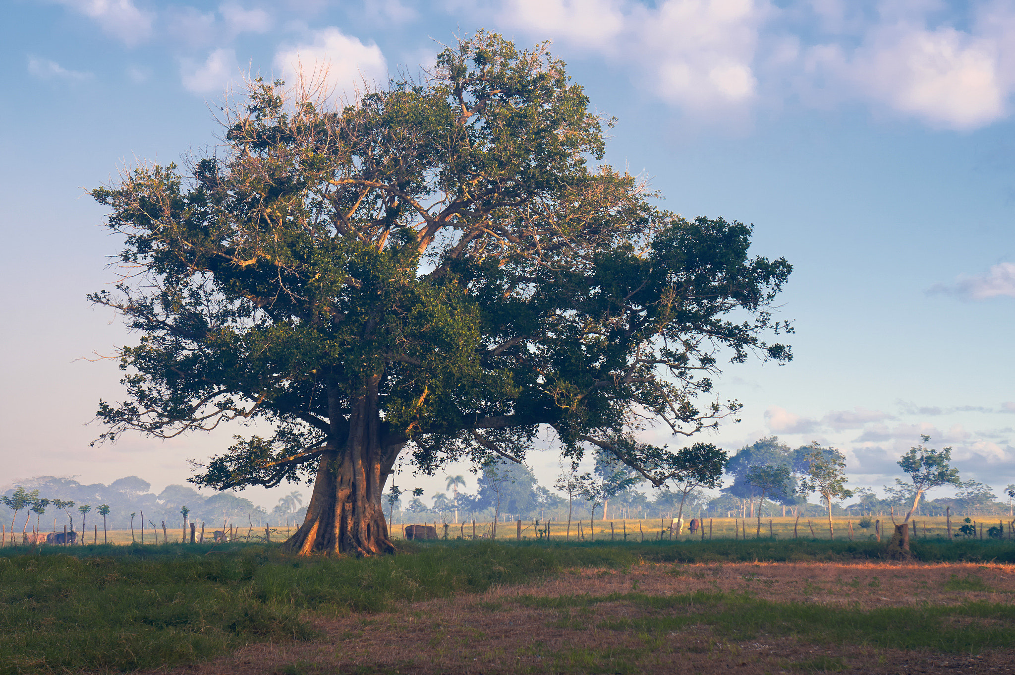 Фото из путешествий. Портретный фотограф Виноградов Александр | Москва, Шатура