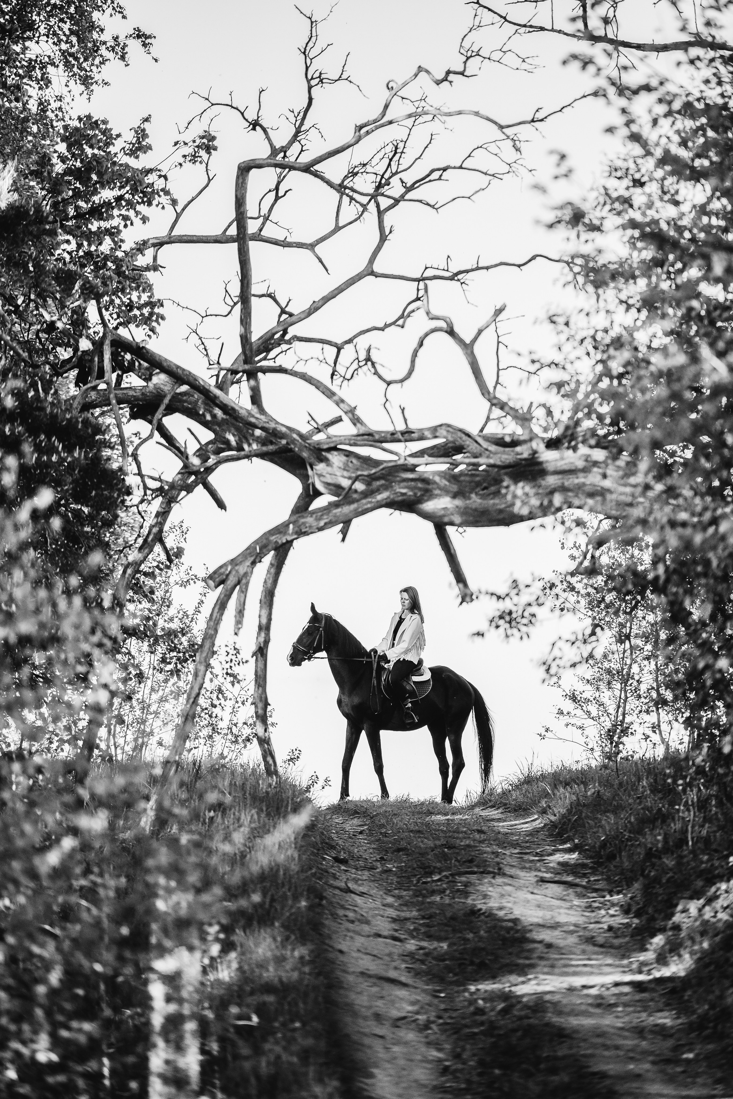 Серия с лошадью: Алина и Тархун (Москва, 2024). Анна Пушина, фотограф, Москва, Королев, Пушкино