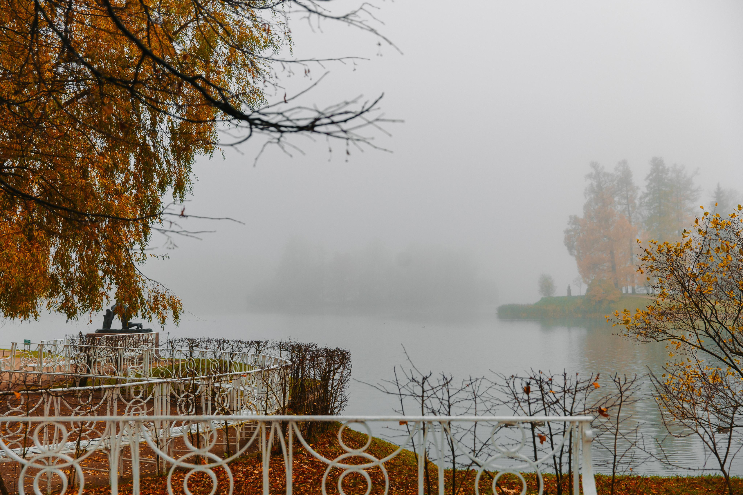 ДВОРЕЦ № 3 Пушкин| Октябрь, Екатерининский парк. Свадебный фотограф в Санкт-Петербурге Полина Корзухина