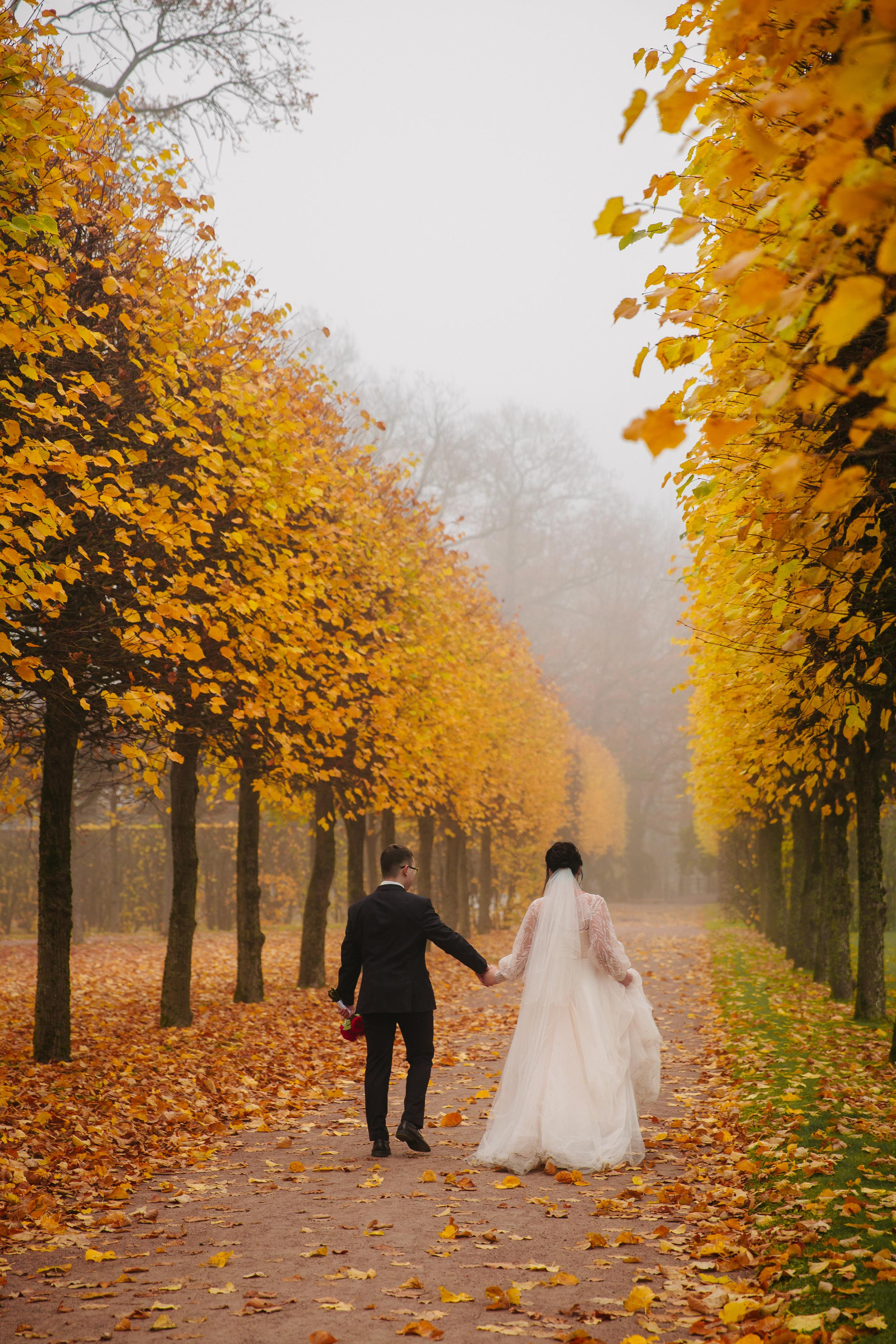 ДВОРЕЦ № 3 Пушкин| Октябрь, Екатерининский парк. Свадебный фотограф в Санкт-Петербурге Полина Корзухина