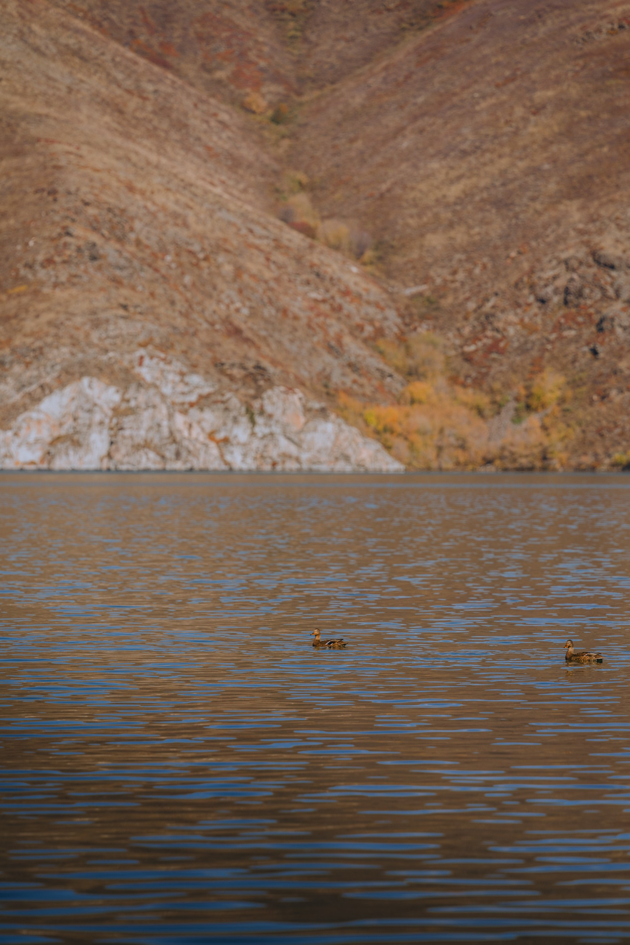 Усть-Каменогорск, Сентябрь 2024