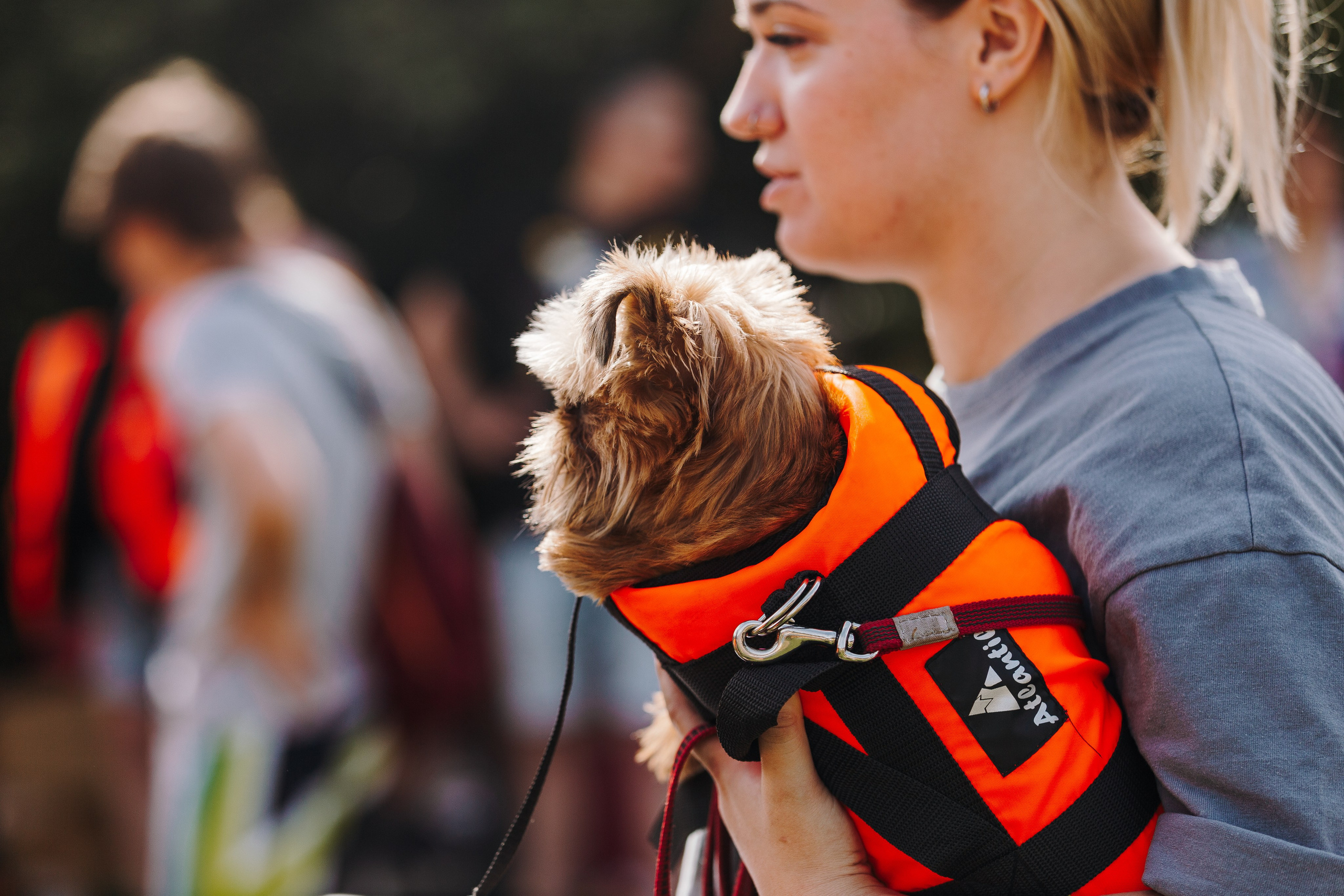 Petshop Sup day. Фотограф анималист Кристина Карпова, Москва
