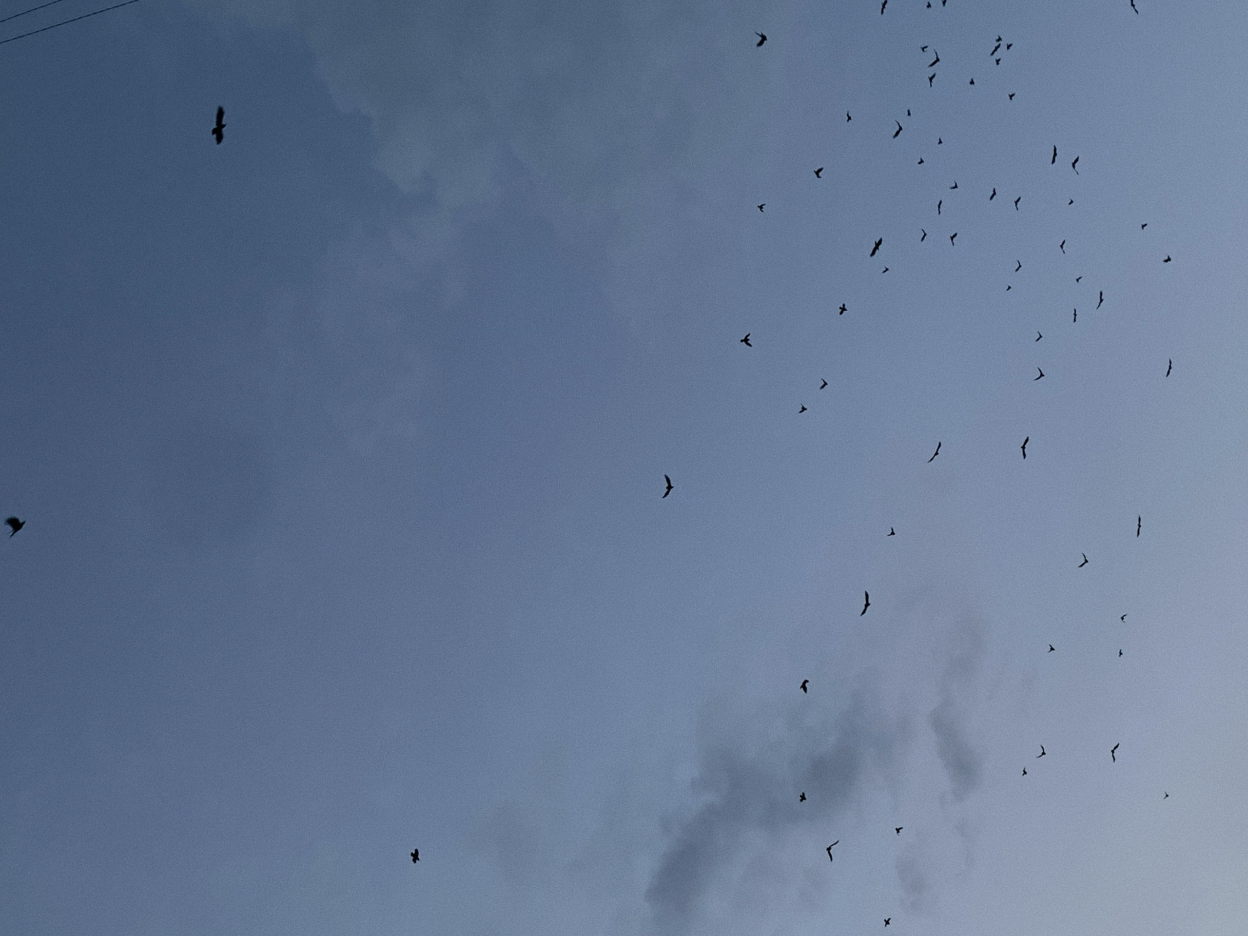 Фотограф красноярск