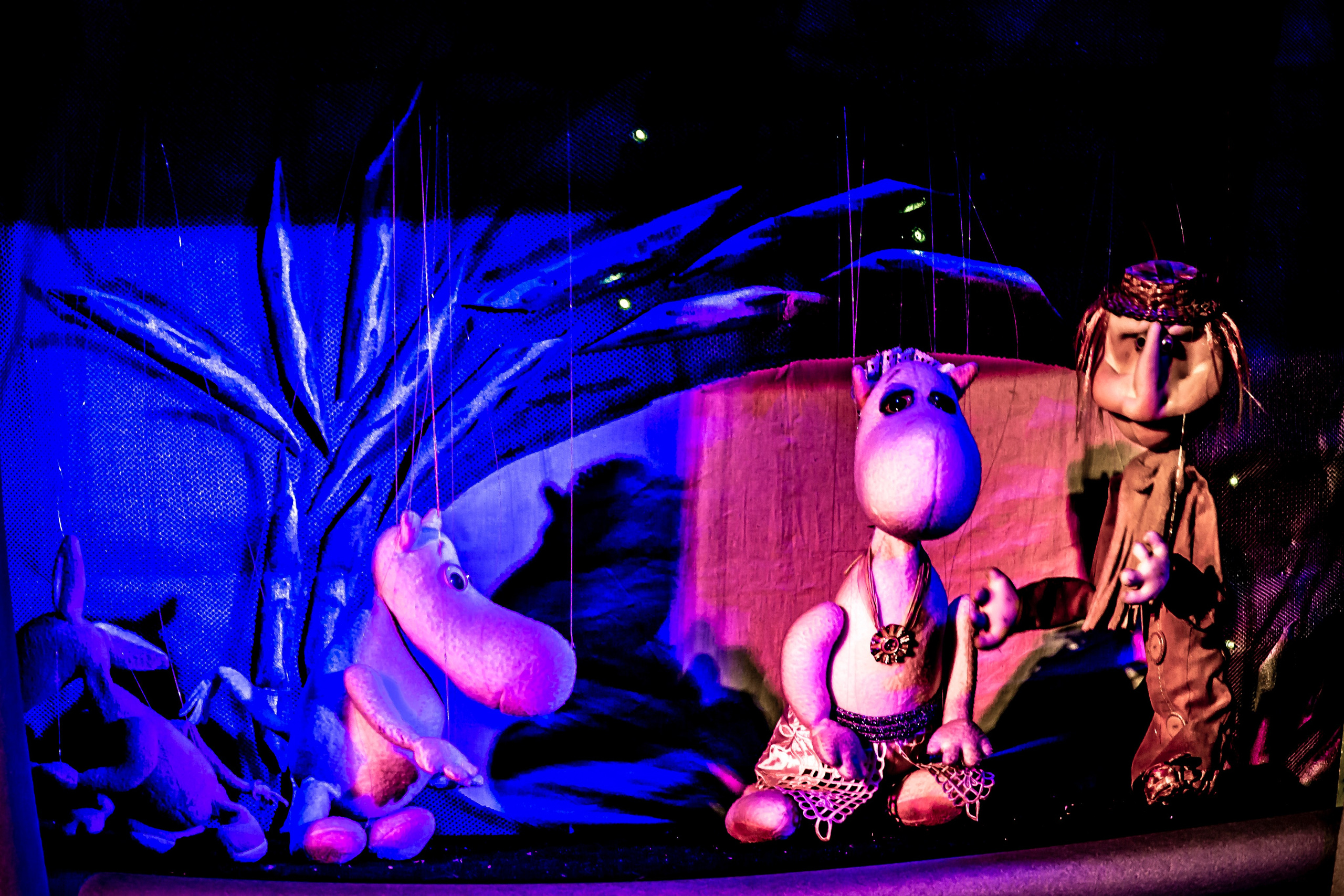 «Муми тролли и большое наводнение». Фотограф в Сочи Юрий Шептаев