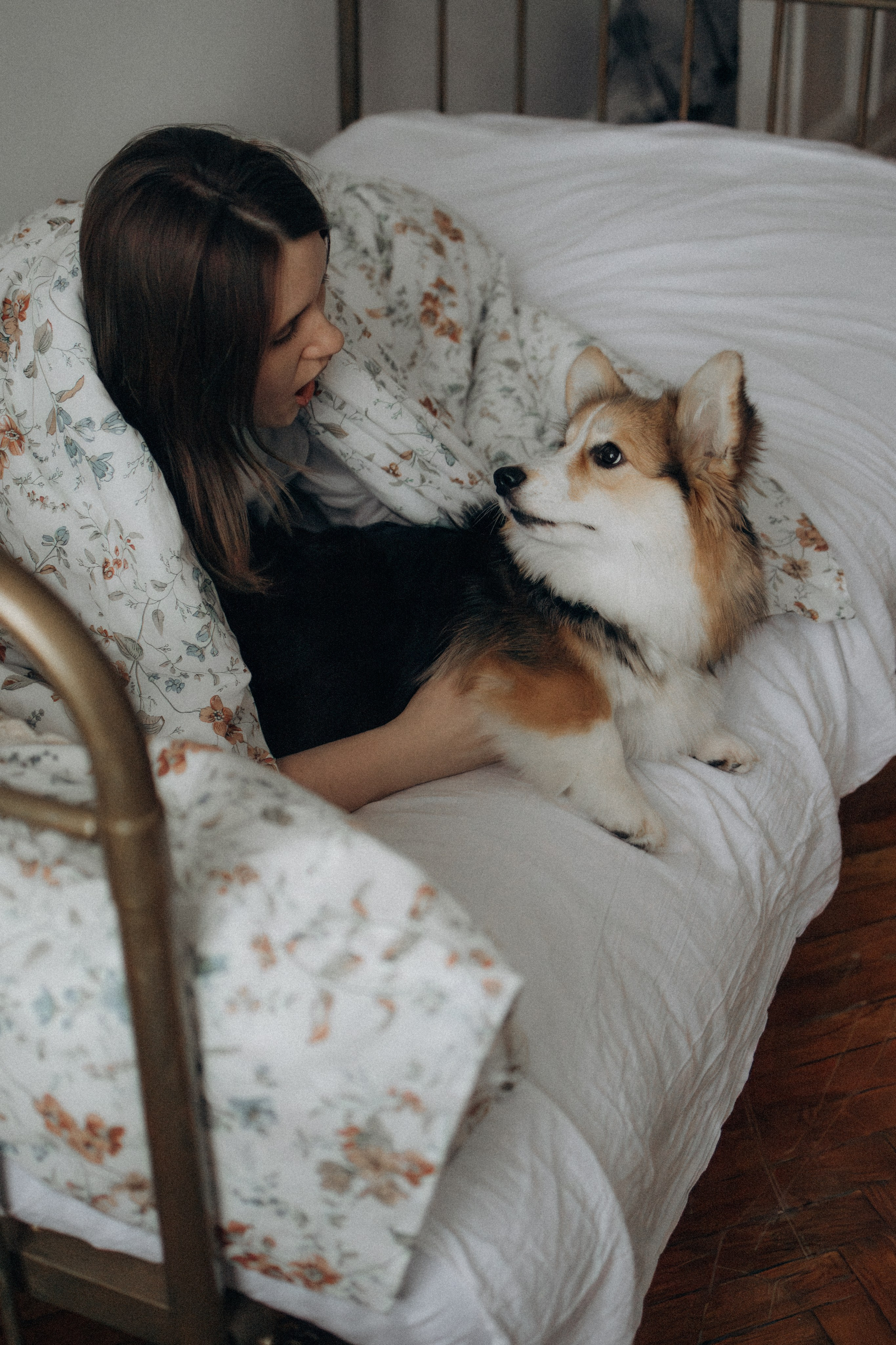 Мишель и Влада. Фотораф — анималист Мария Шистка