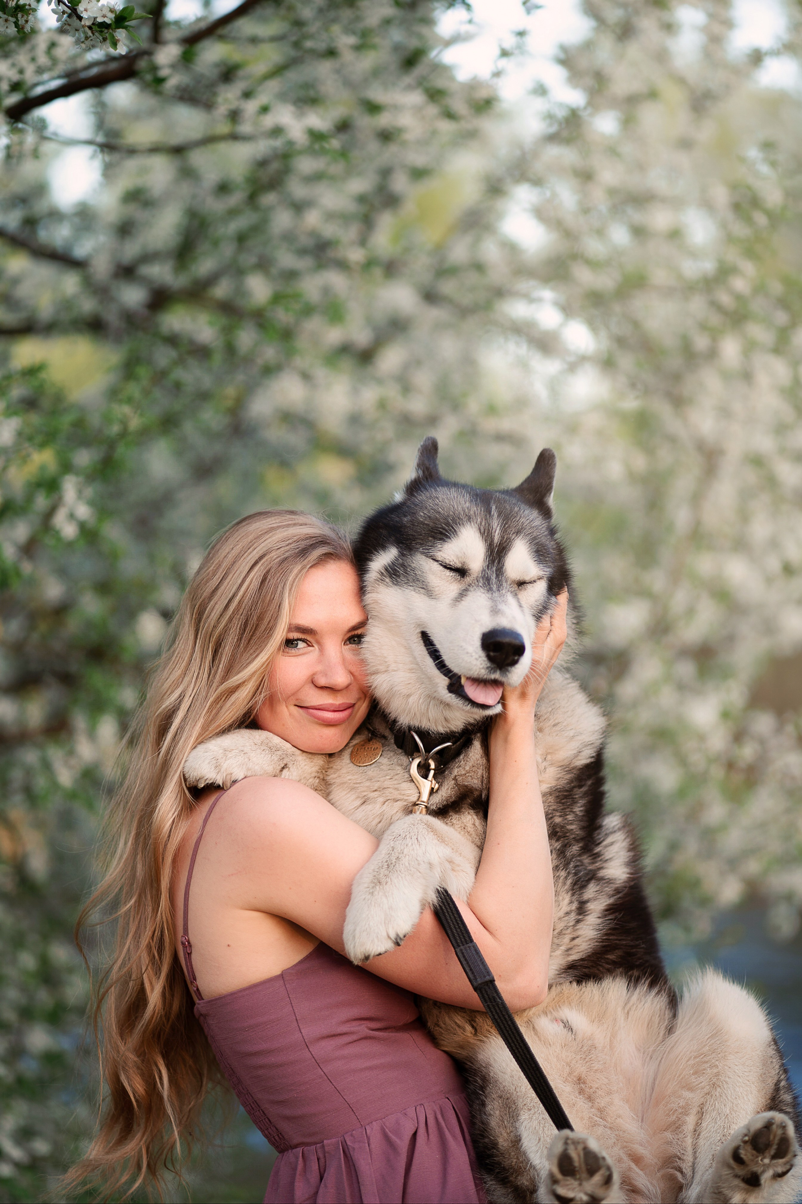 Хвостики. Главная