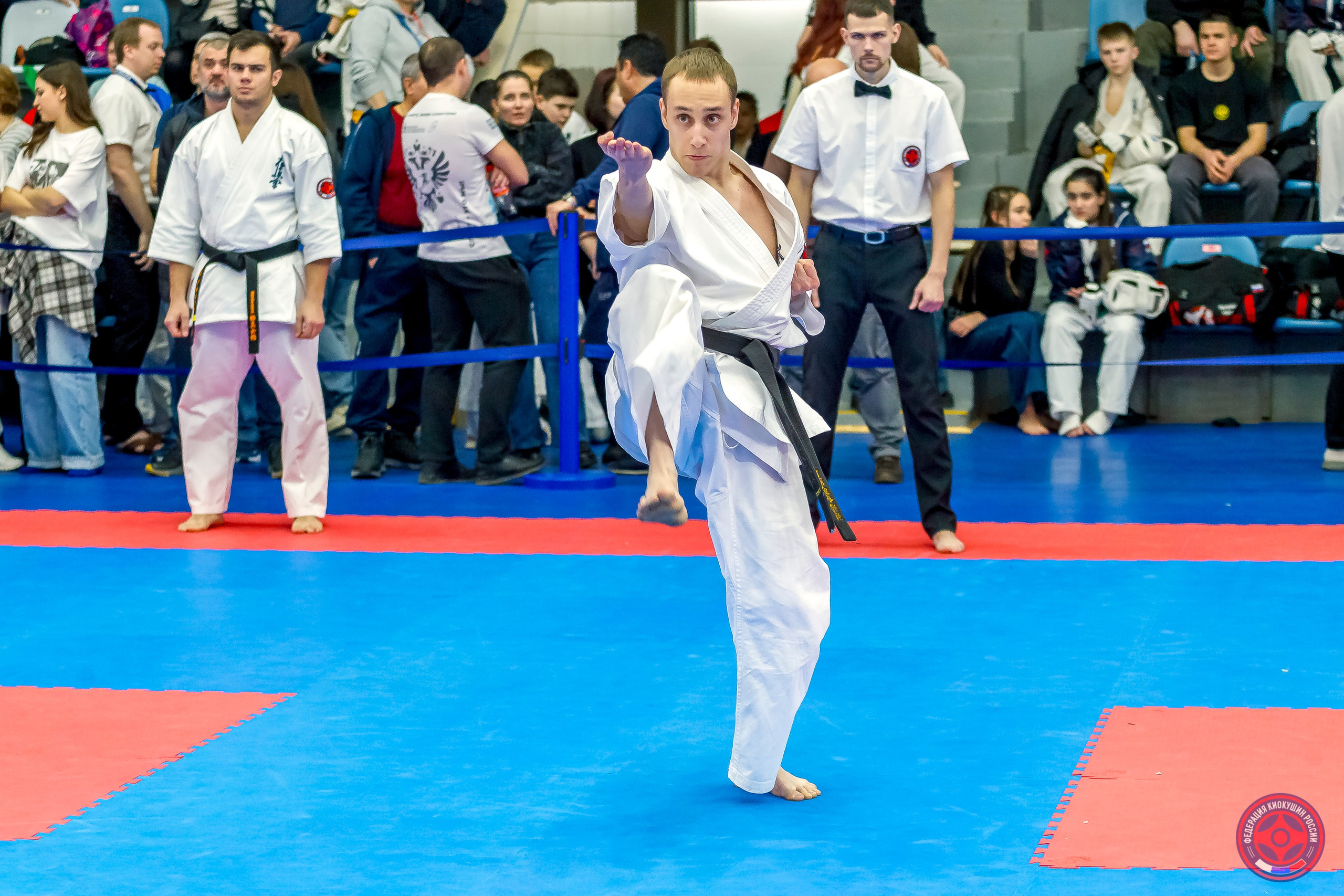 Международный турнир по киокушин «Открытый кубок Seiken». Репортажная съемка в Москве и области. Анималистика