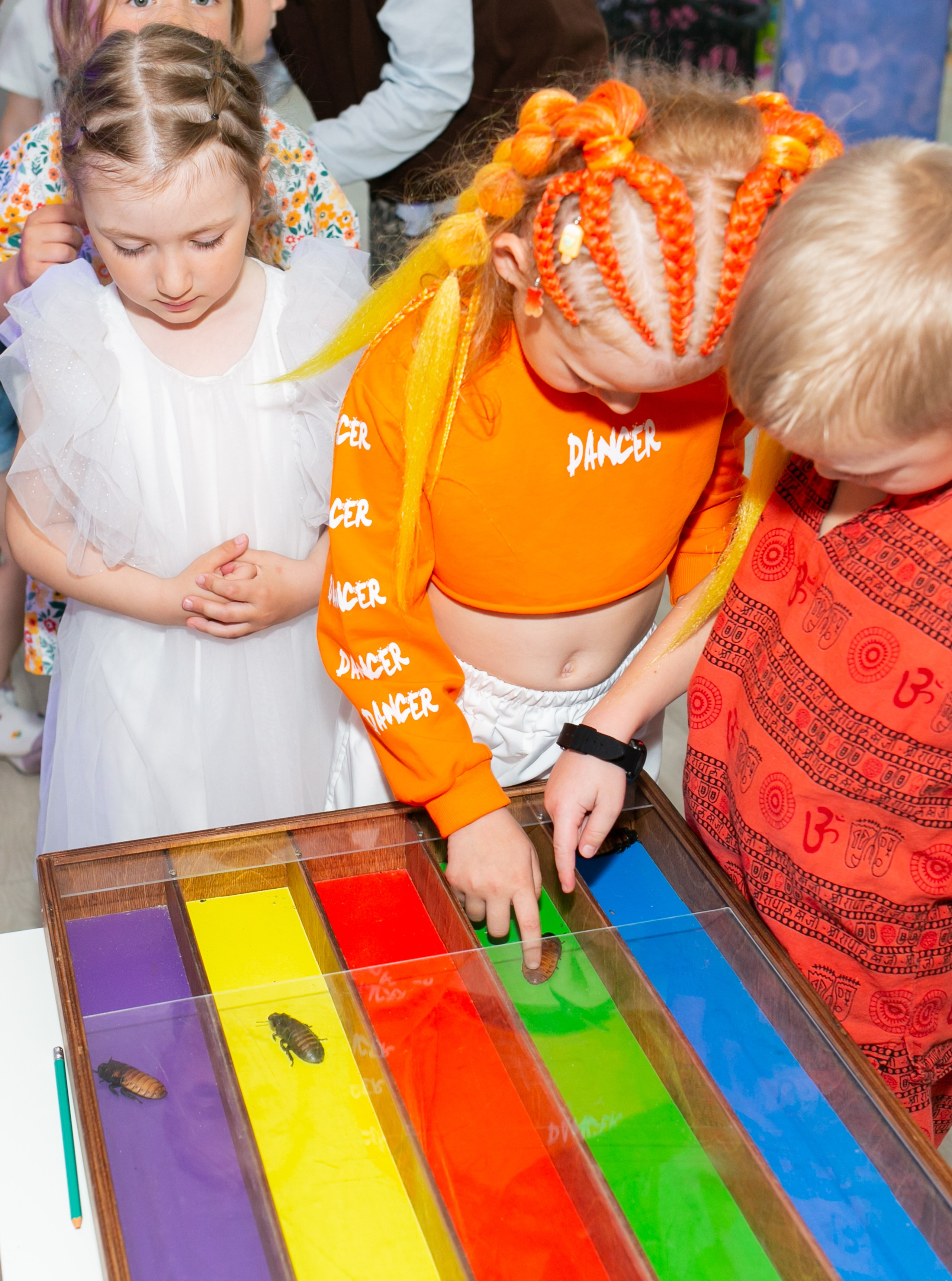 Праздники. Фотограф новорожденных и семейный фотограф НСО г. Бердск Марина Львова