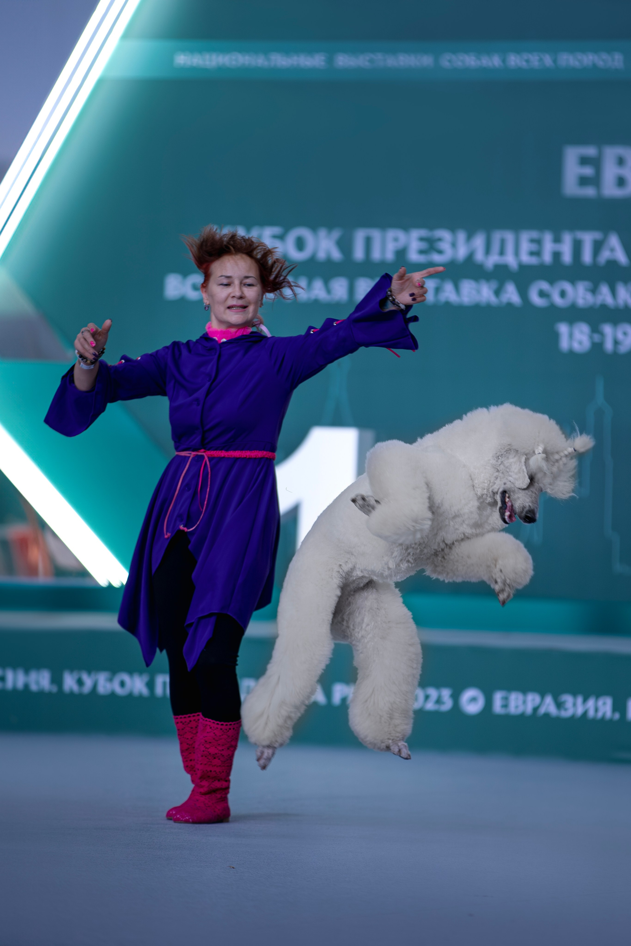 Выставки. Фотограф анималист в Москве Майорова Евгения