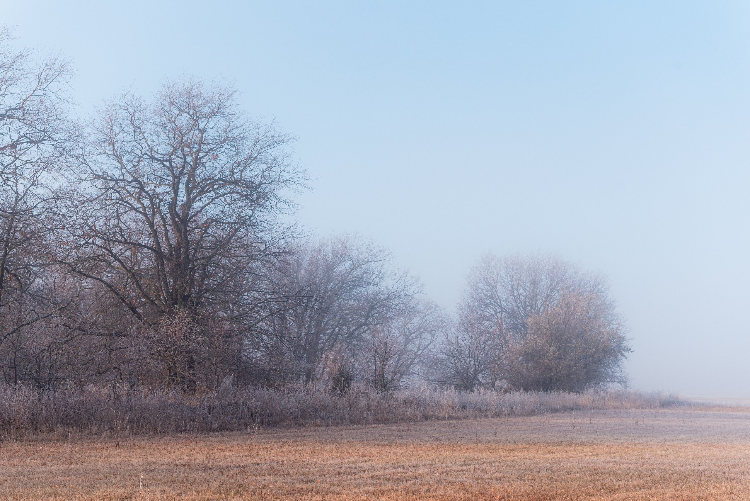 Фотографии утреннего тумана под Волжским. Фотограф в Волгограде и Волжском Александр Горбань