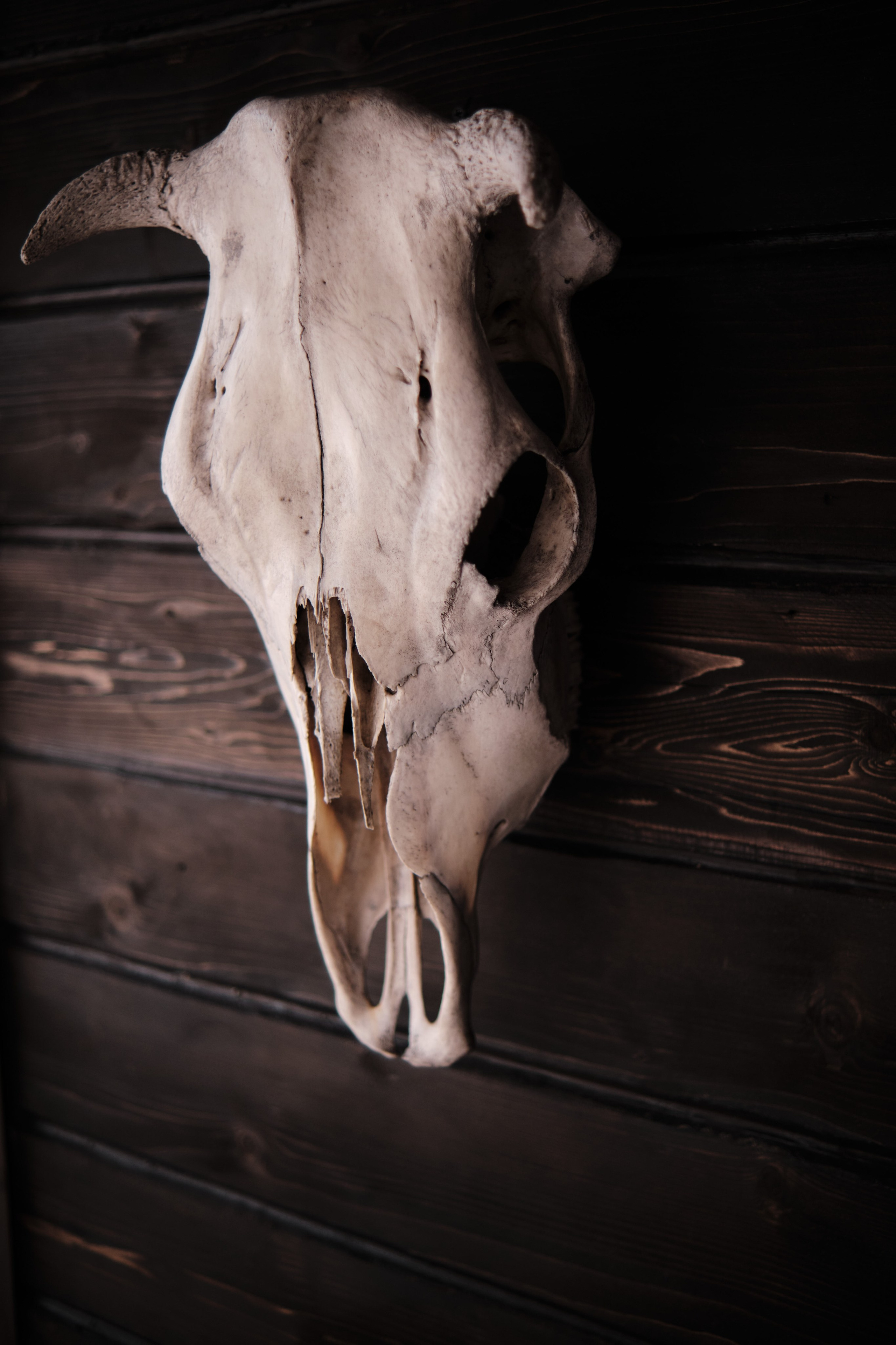 Рябиновая 126. Свадебный и семейный фотограф в Новокузнецке Иван Иванов