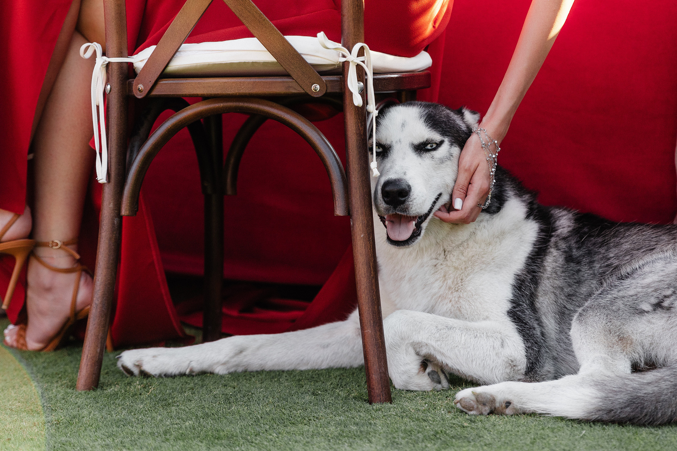 Балдеж. Свадебный и семейный фотограф в Краснодаре Роман Моско