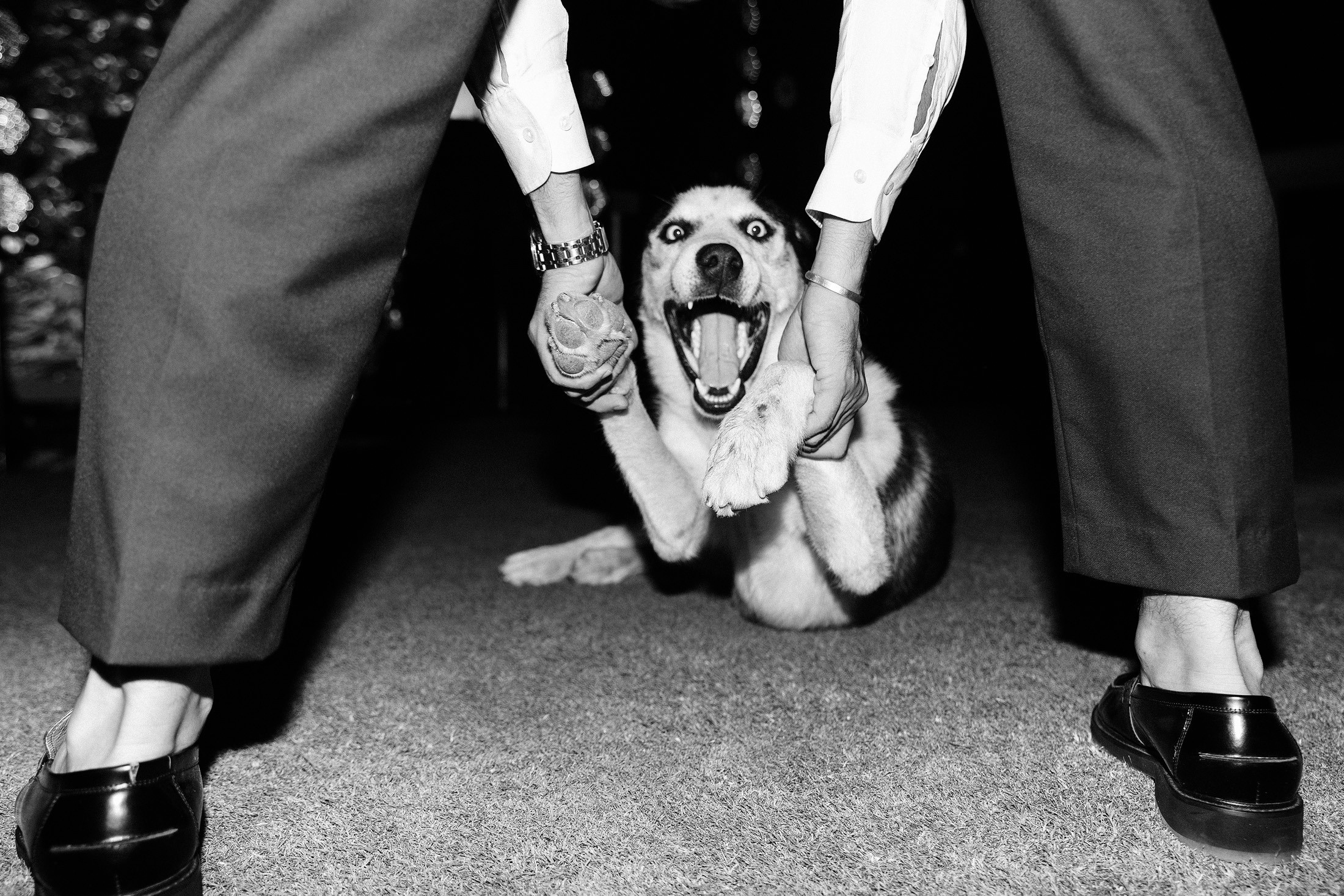 Балдеж. Свадебный и семейный фотограф в Краснодаре Роман Моско