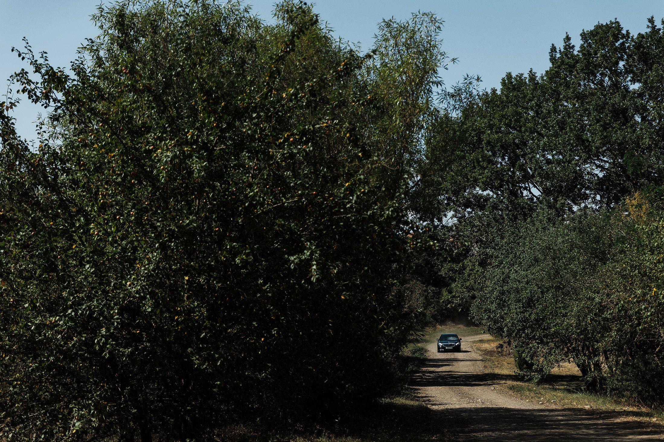 Сергей и Лиза. Свадебный и семейный фотограф в Краснодаре Роман Моско